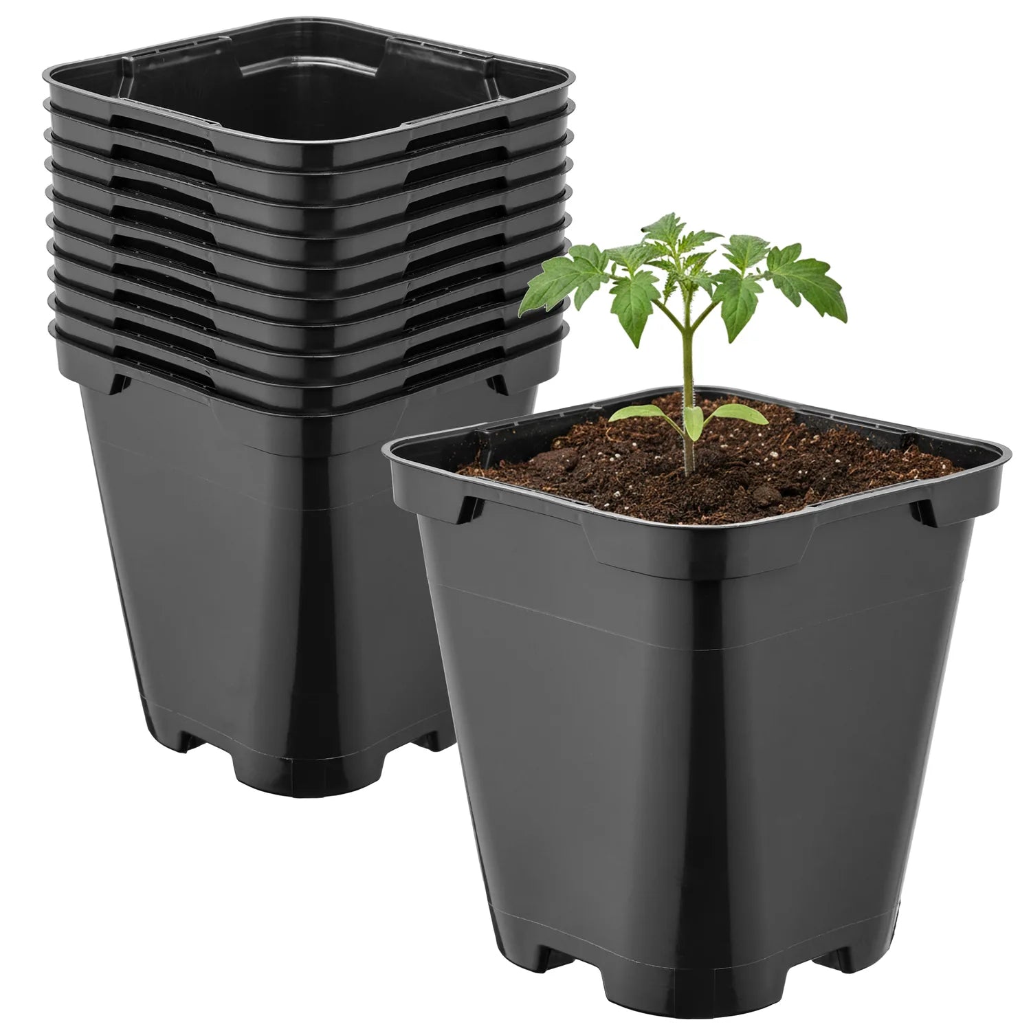 #Größe_9 x 9 x 9,6 cm (0,5L)#Menge_10 Stück