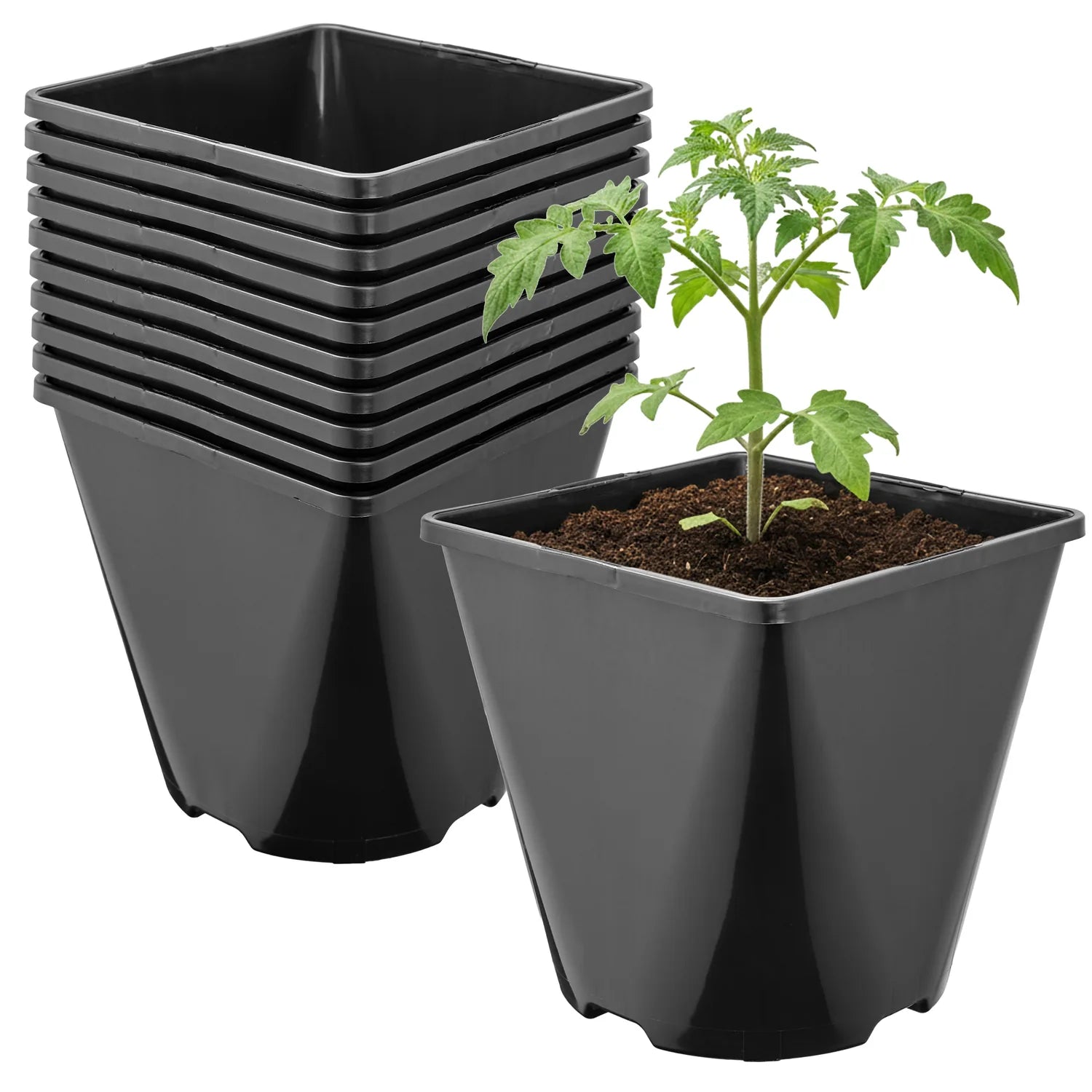 #Größe_14 x 14 x 14 cm (2L)#Menge_10 Stück