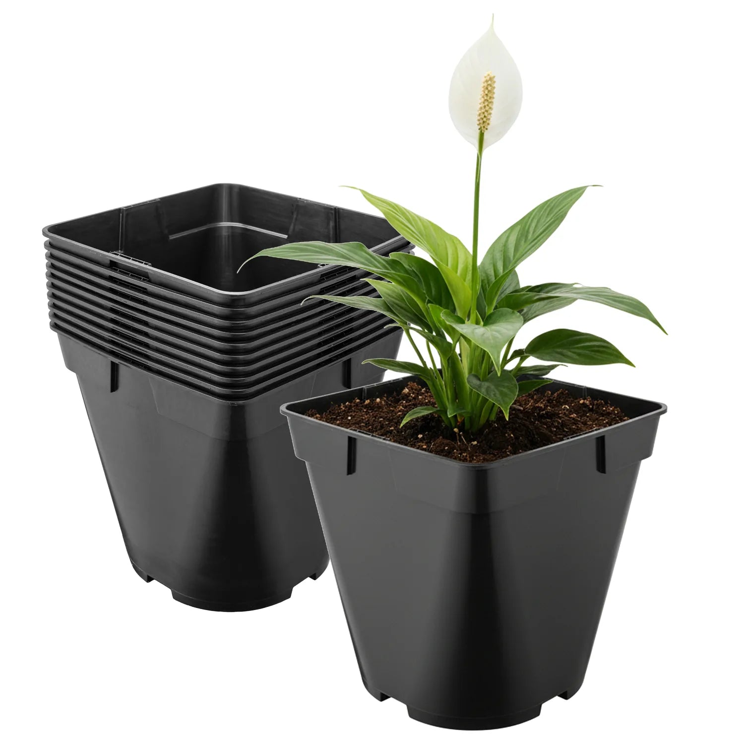 #Größe_18 x 18 x 18 cm (4L)#Menge_10 Stück