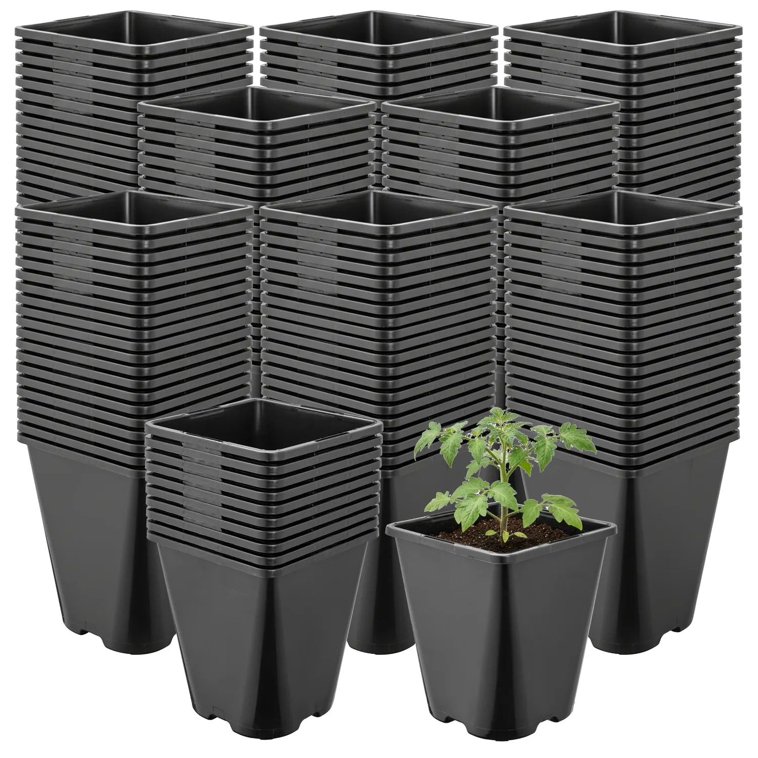 #Größe_11 x 11 x 12,5 cm (1L)#Menge_200 Stück