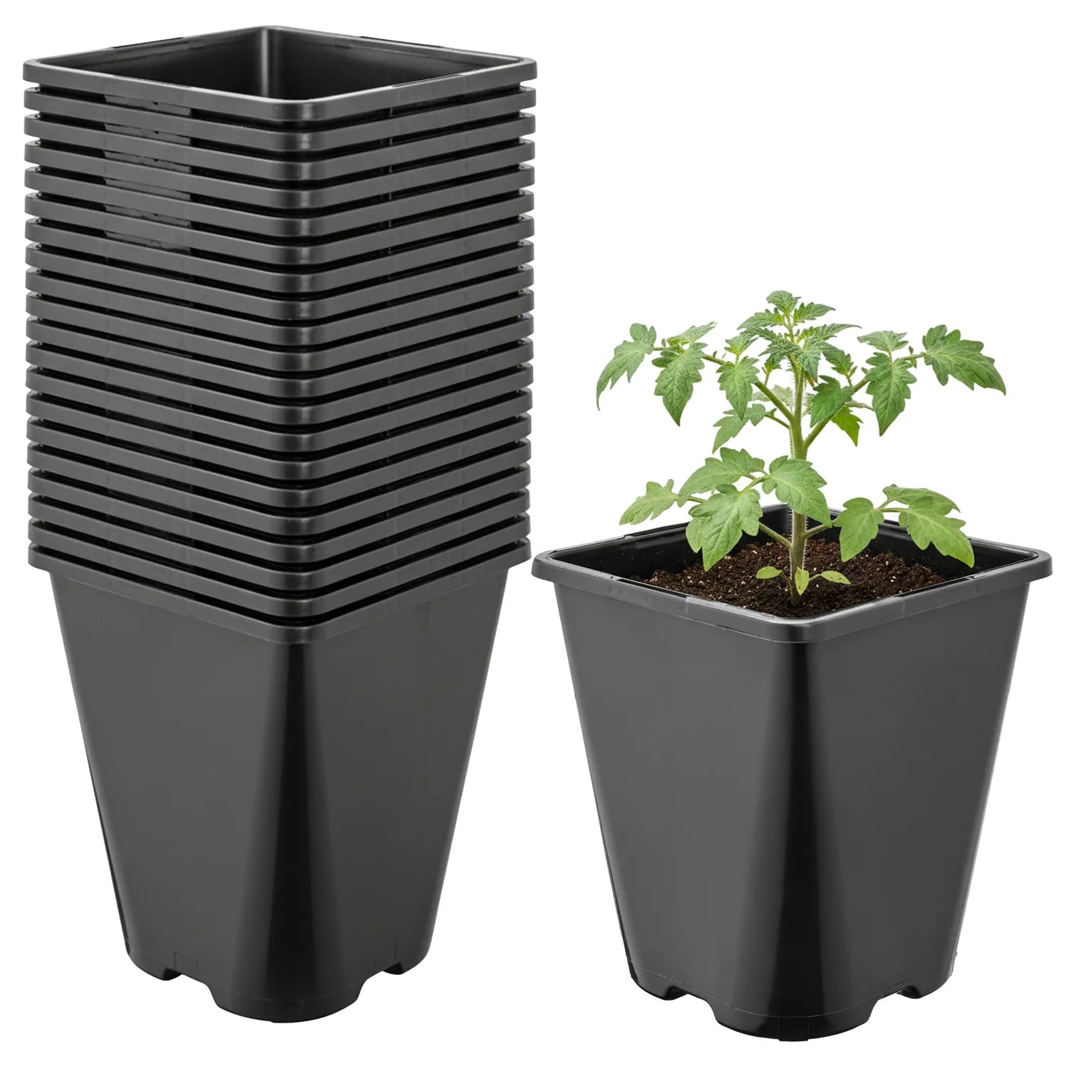 #Größe_11 x 11 x 12,5 cm (1L)#Menge_20 Stück