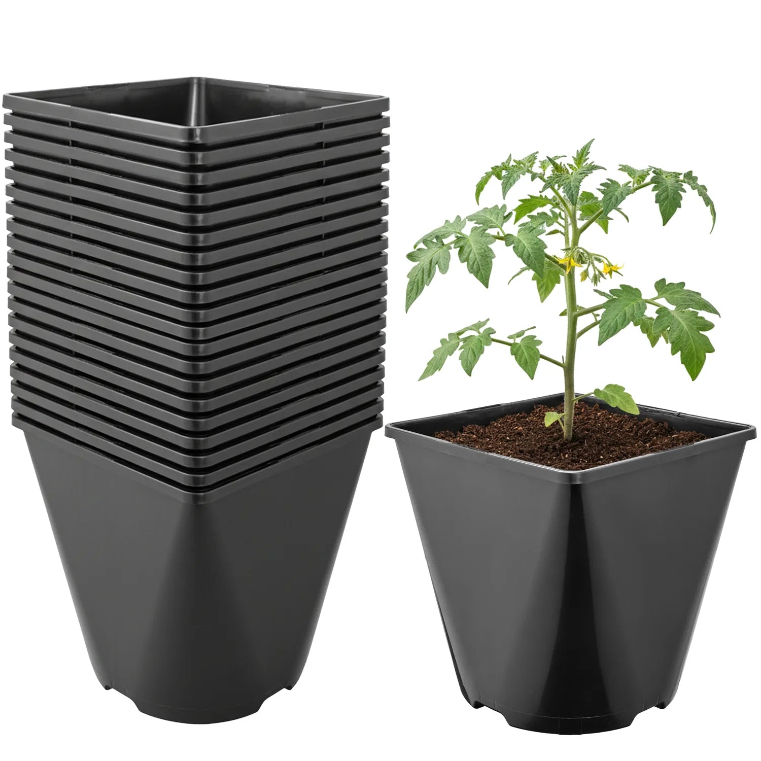 #Größe_15,7 x 15,7 x 16 cm (3L)#Menge_20 Stück