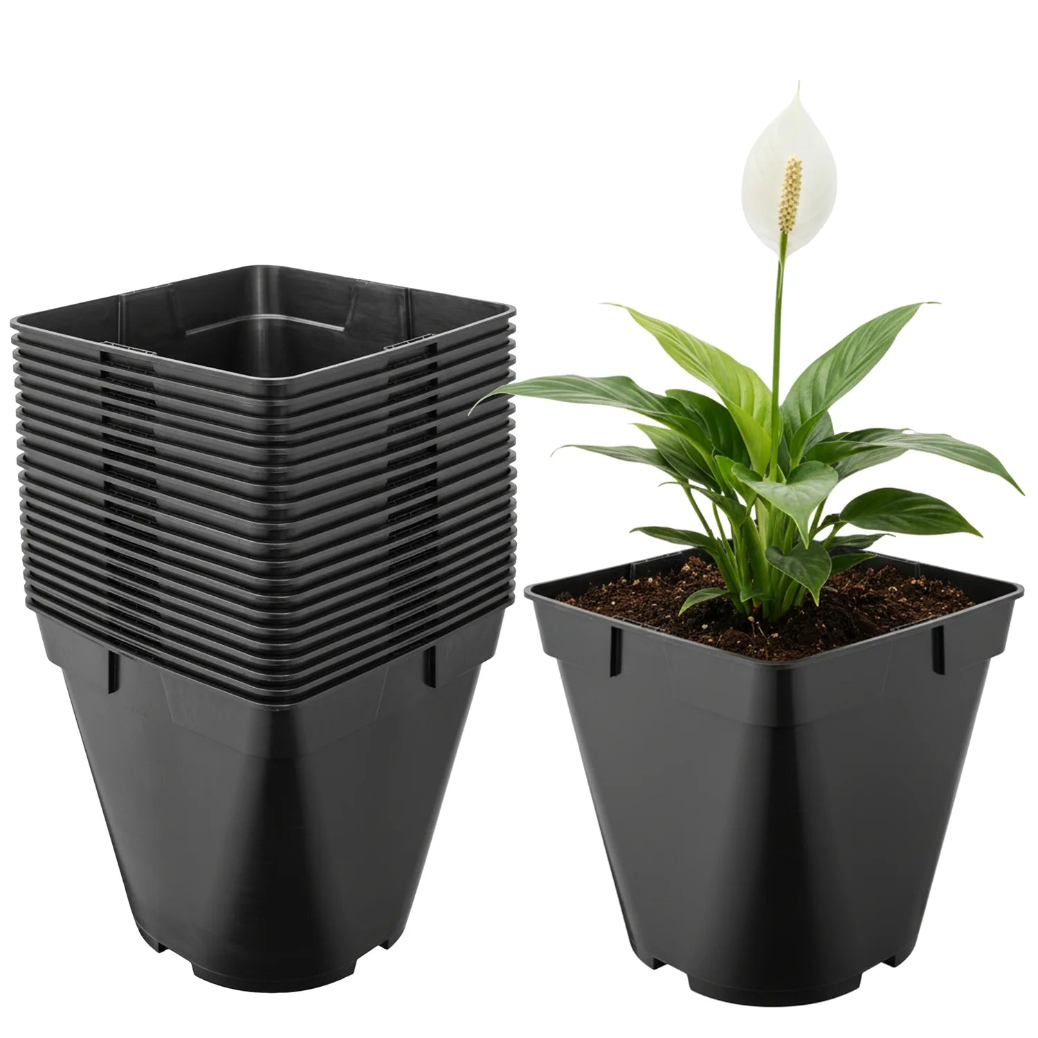 #Größe_18 x 18 x 18 cm (4L)#Menge_20 Stück