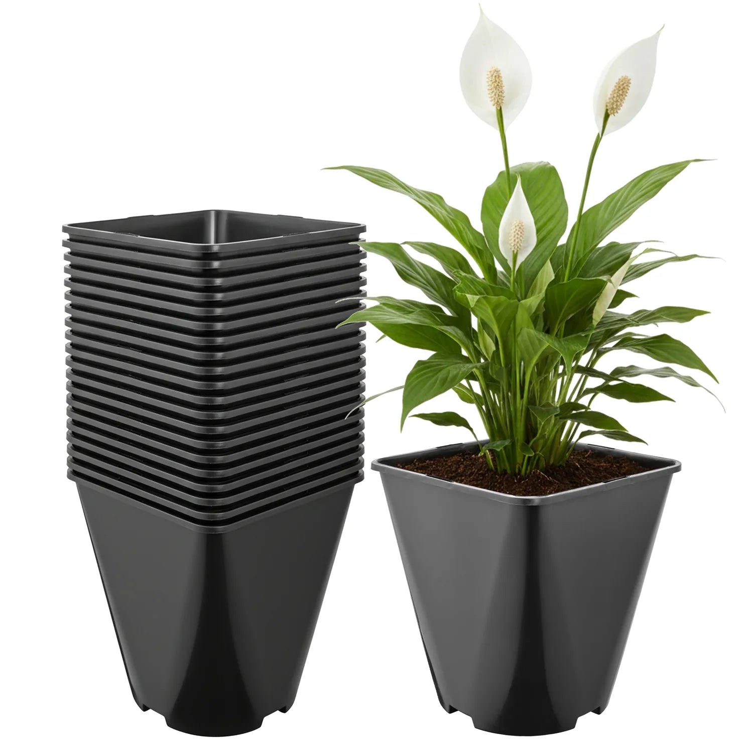 #Größe_18 x 18 x 20 cm (5L)#Menge_20 Stück