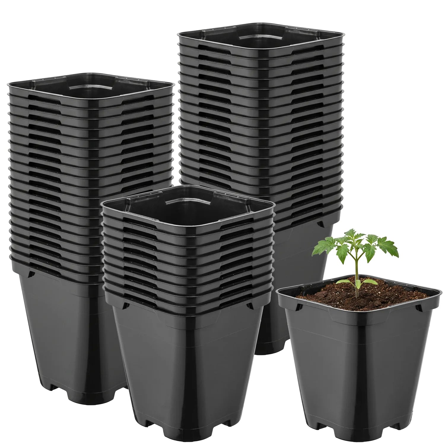 #Größe_9 x 9 x 9,6 cm (0,5L)#Menge_50 Stück