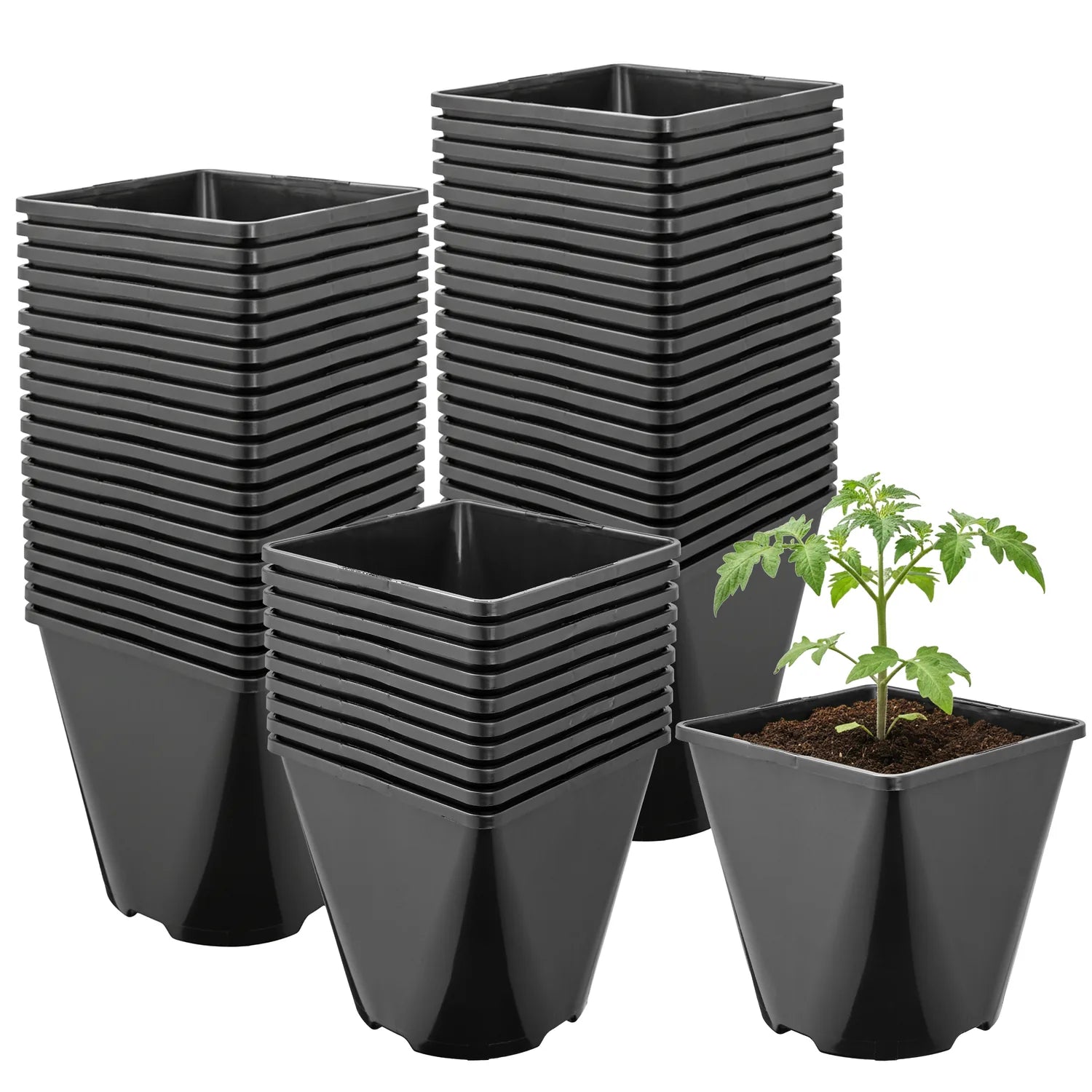 #Größe_14 x 14 x 14 cm (2L)#Menge_50 Stück