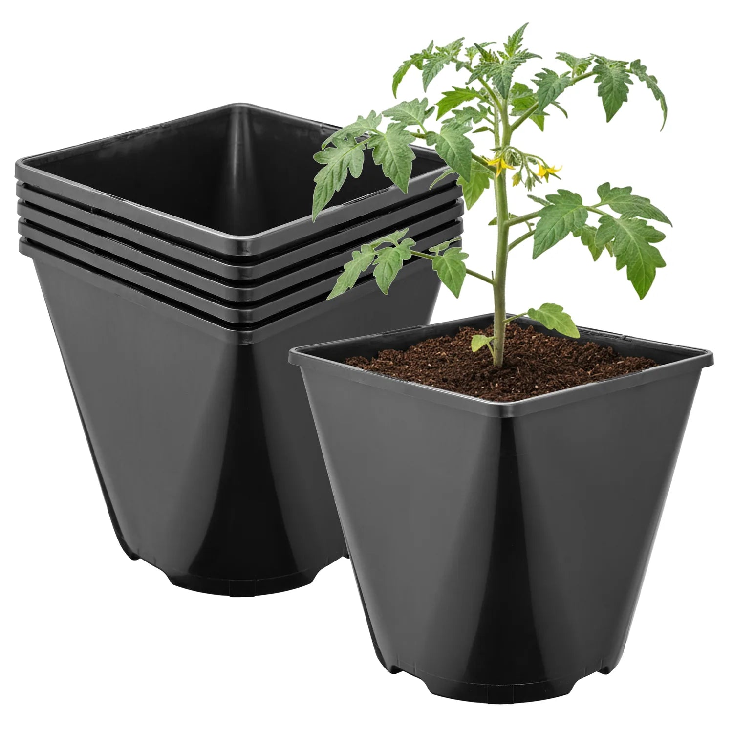 #Größe_15,7 x 15,7 x 16 cm (3L)#Menge_5 Stück