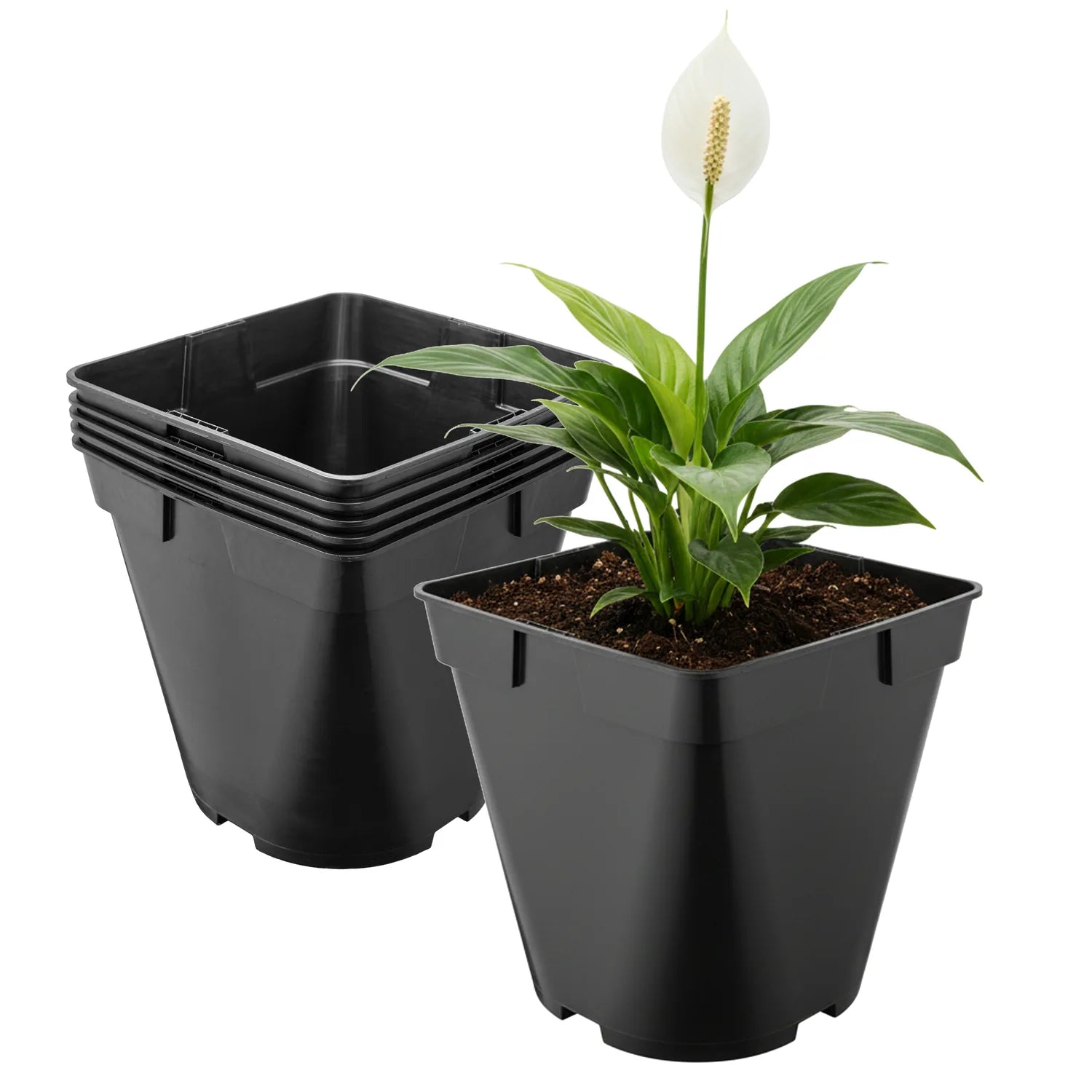 #Größe_18 x 18 x 18 cm (4L)#Menge_5 Stück