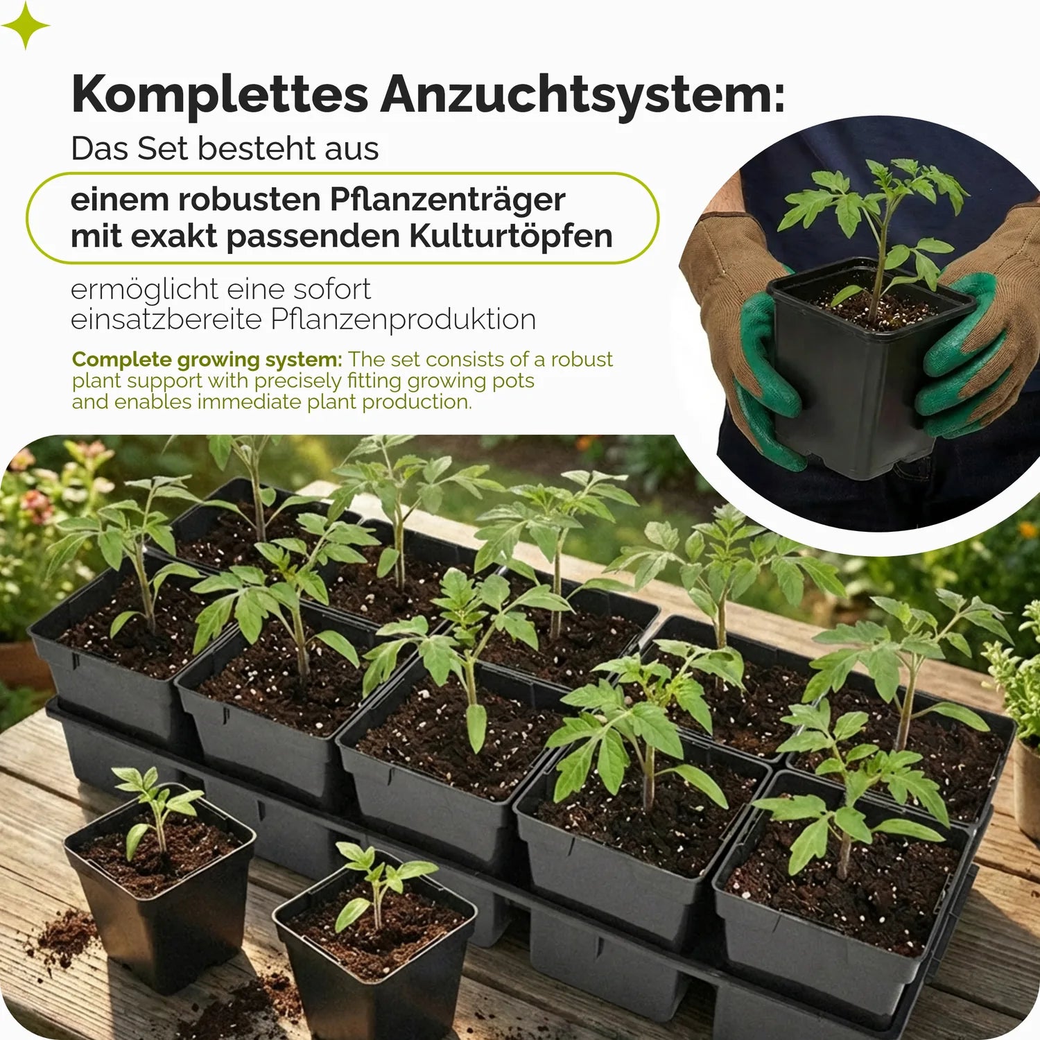 #Größe_Transporttray mit 10 x 1,25L Töpfen