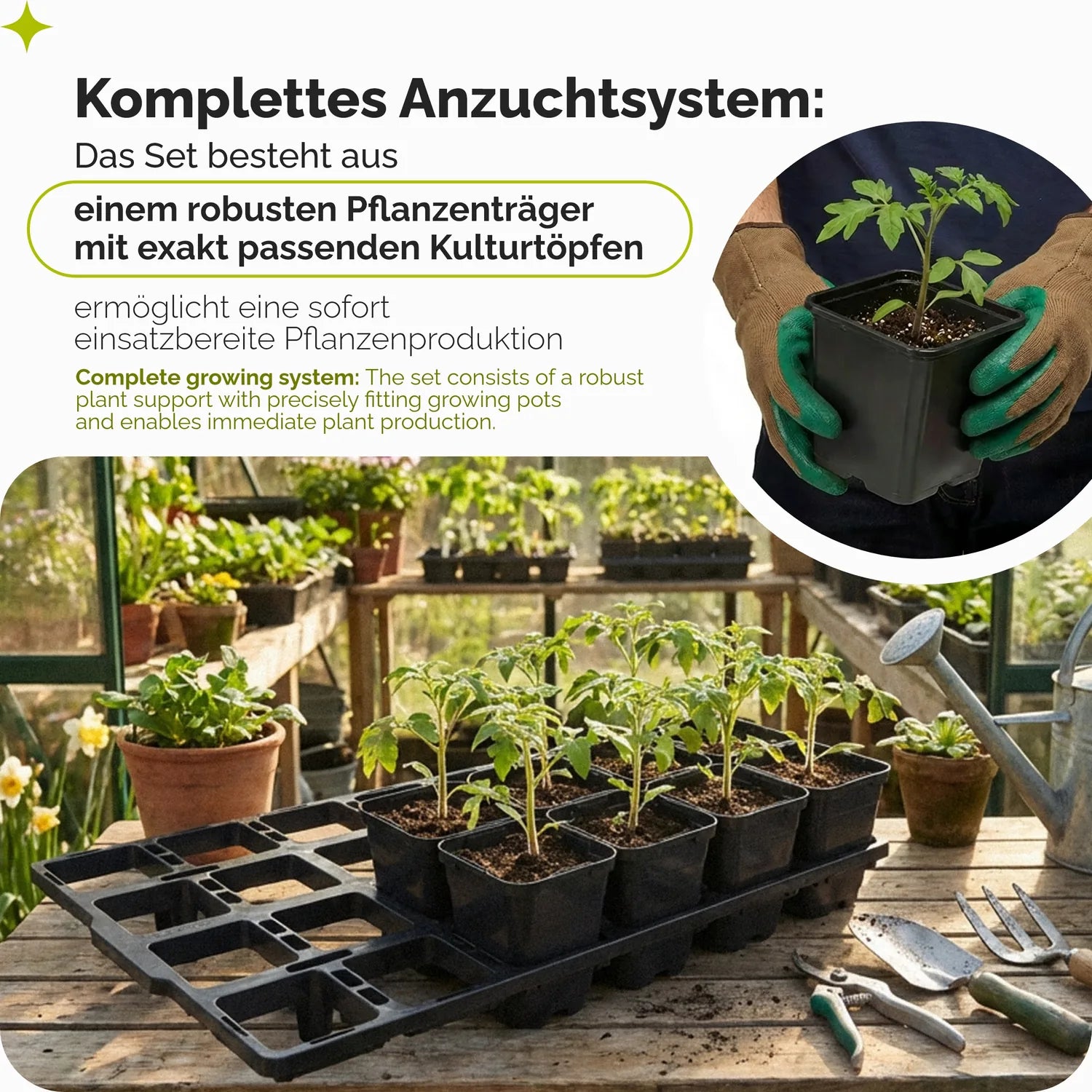 #Größe_Transporttray mit 24 x 0,5L quadratisch Töpfen#Größe_Transporttray mit 24 x 0,5L abgerundeten Töpfen#Größe_Transporttray mit 24 x 0,8L Töpfen