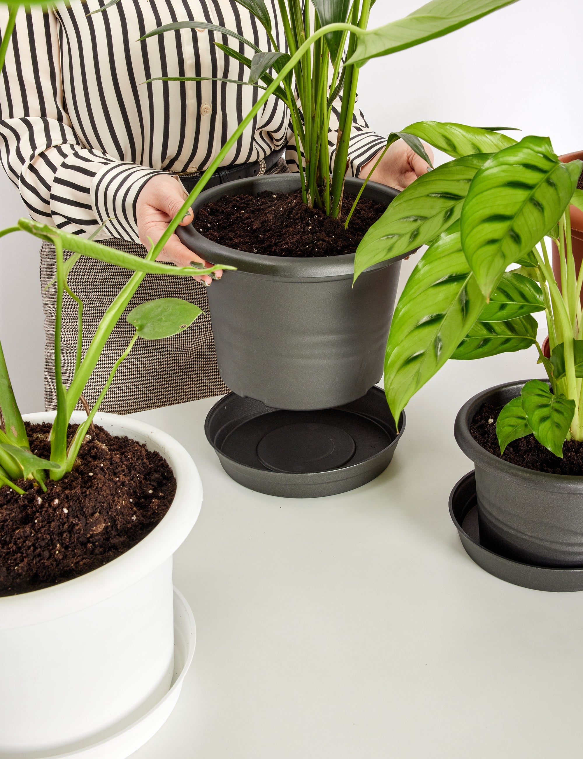 Untersetzer Blumentopf aus Kunststoff GD-0023