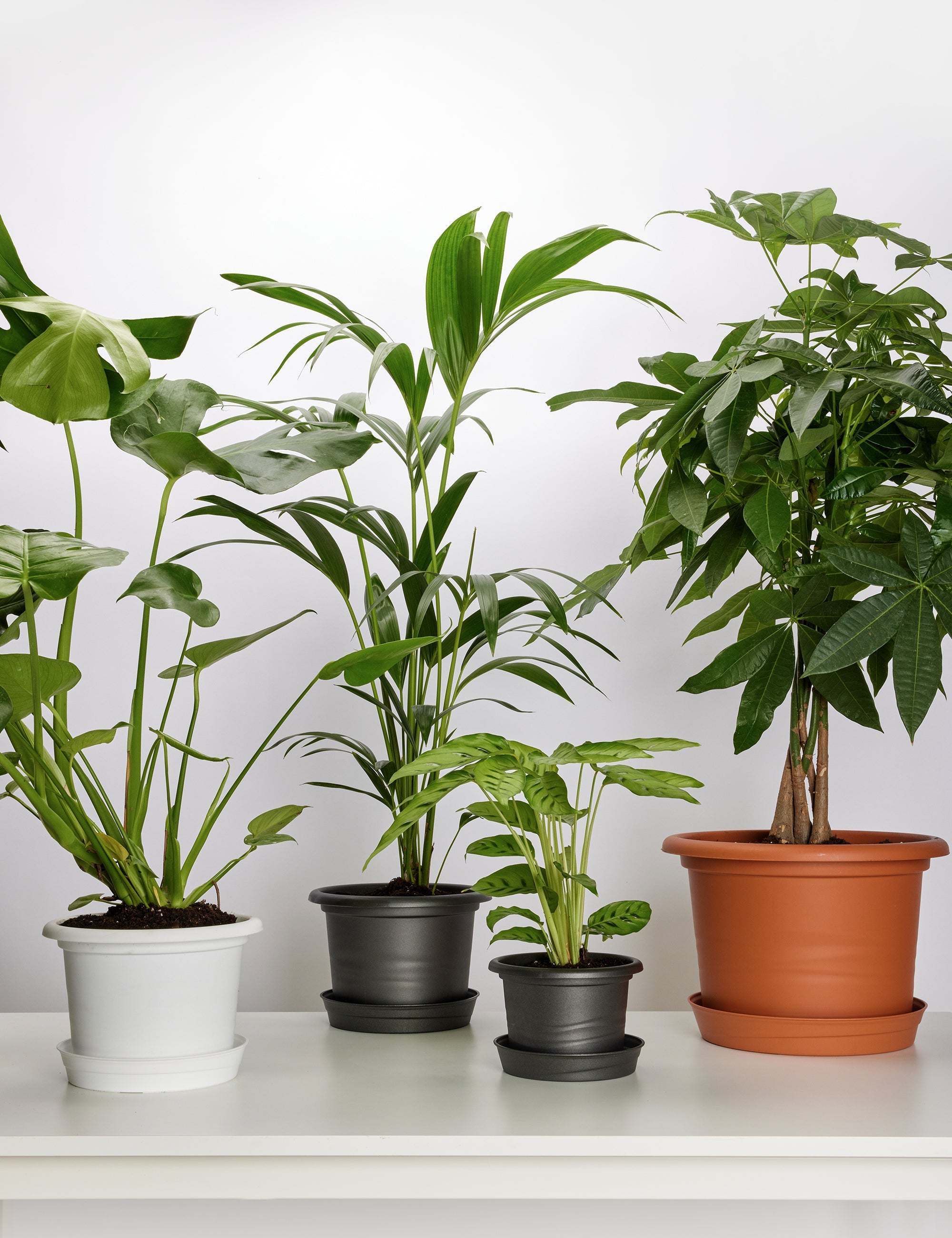 Untersetzer Blumentopf aus Kunststoff GD-0023