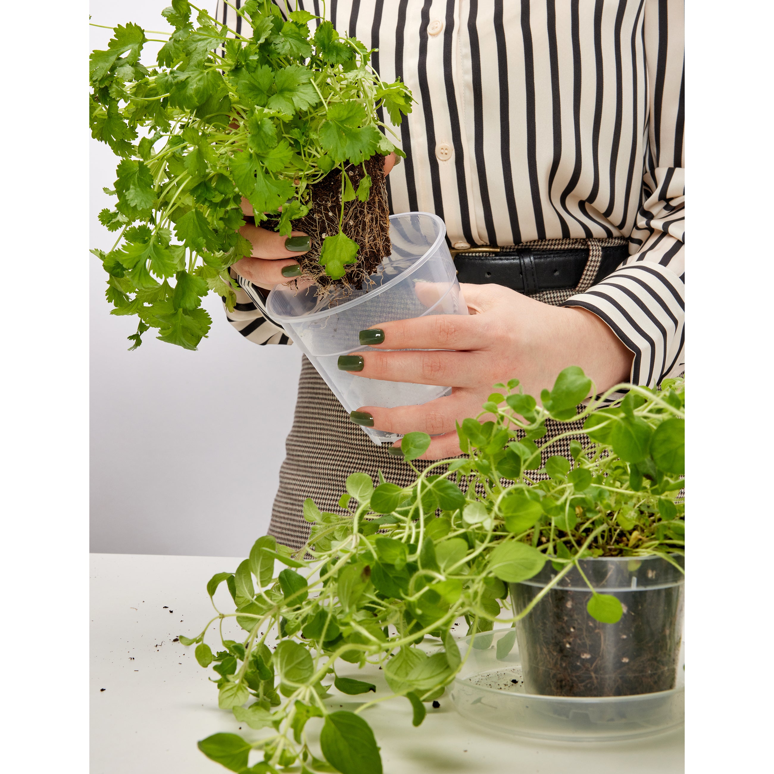 #!Größe_⌀ 12cm H=10,5cm