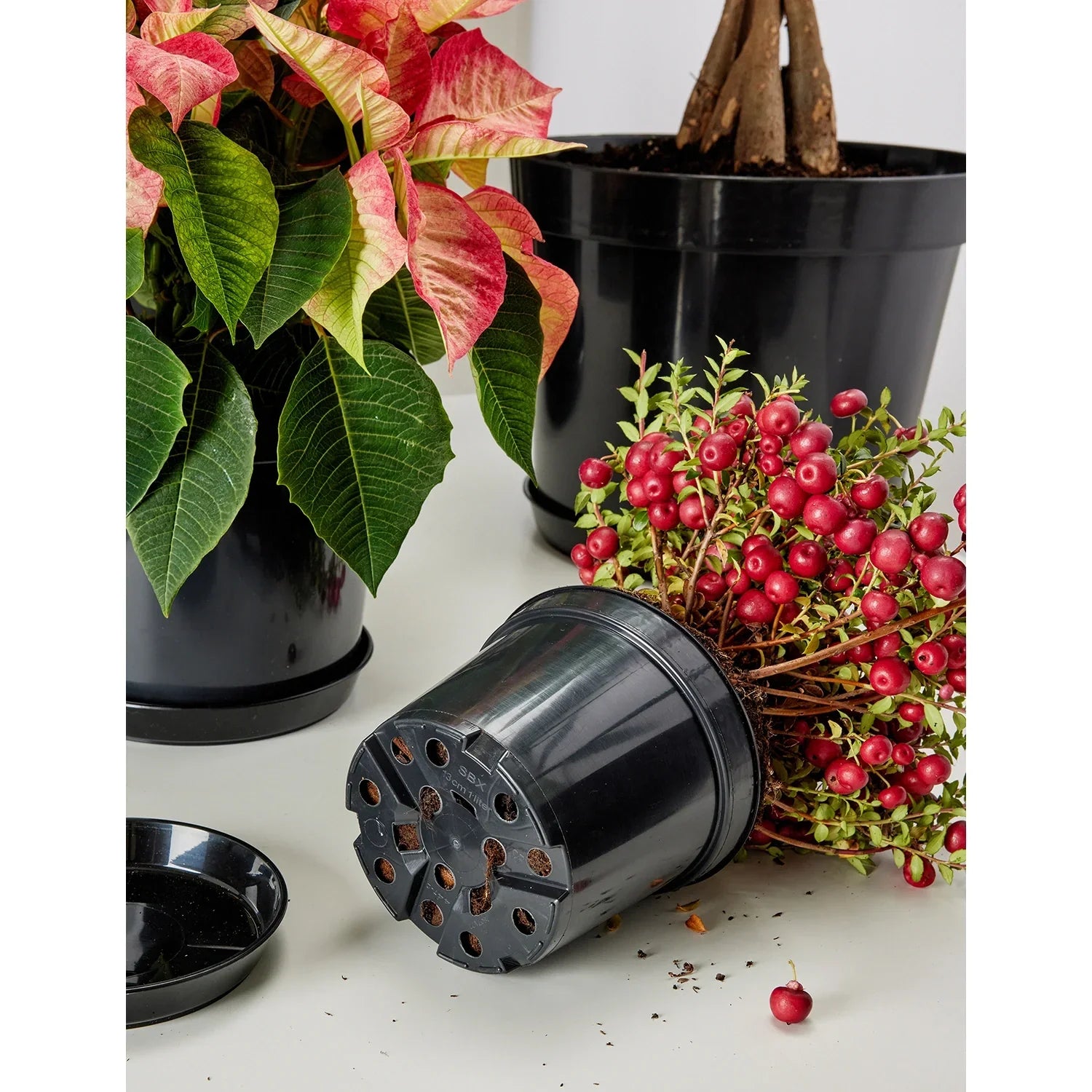 Blumentopf Kunststoff rund Pflanztopf Kräutertopf Anzuchttopf GD-0025