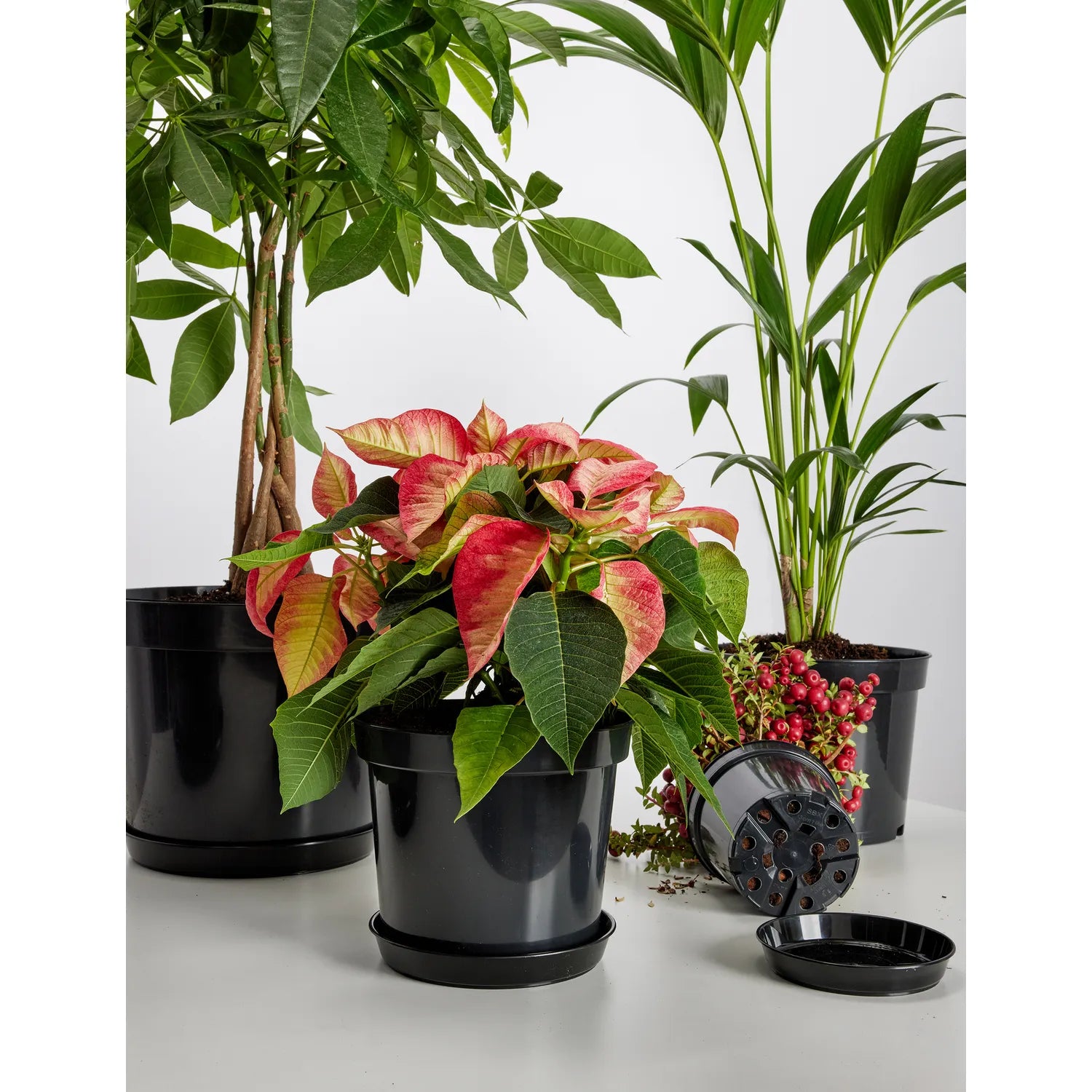 Blumentopf Kunststoff rund Pflanztopf Kräutertopf Anzuchttopf GD-0025