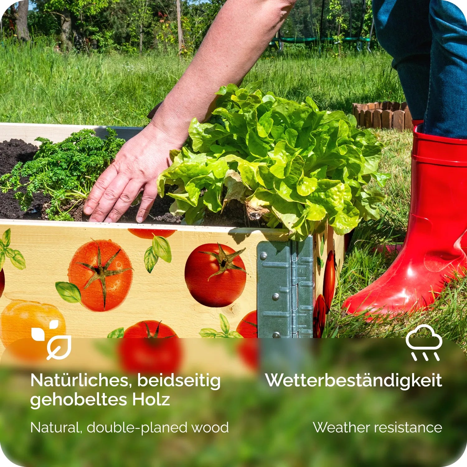 #Farbe_Tomate mit Hintergrund#Größe_120x80x20 cm