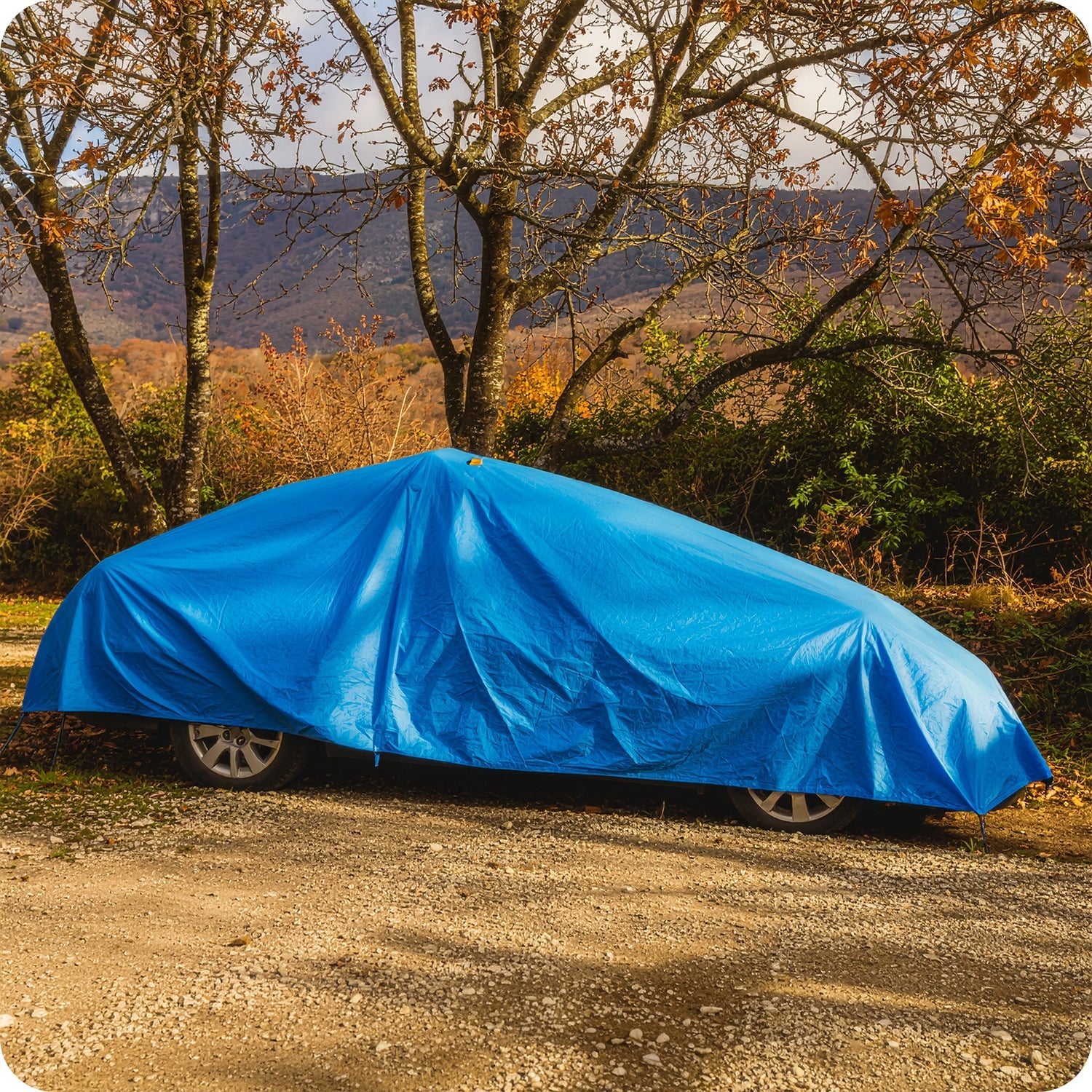 #Farbe_Blau (60 g/m²)