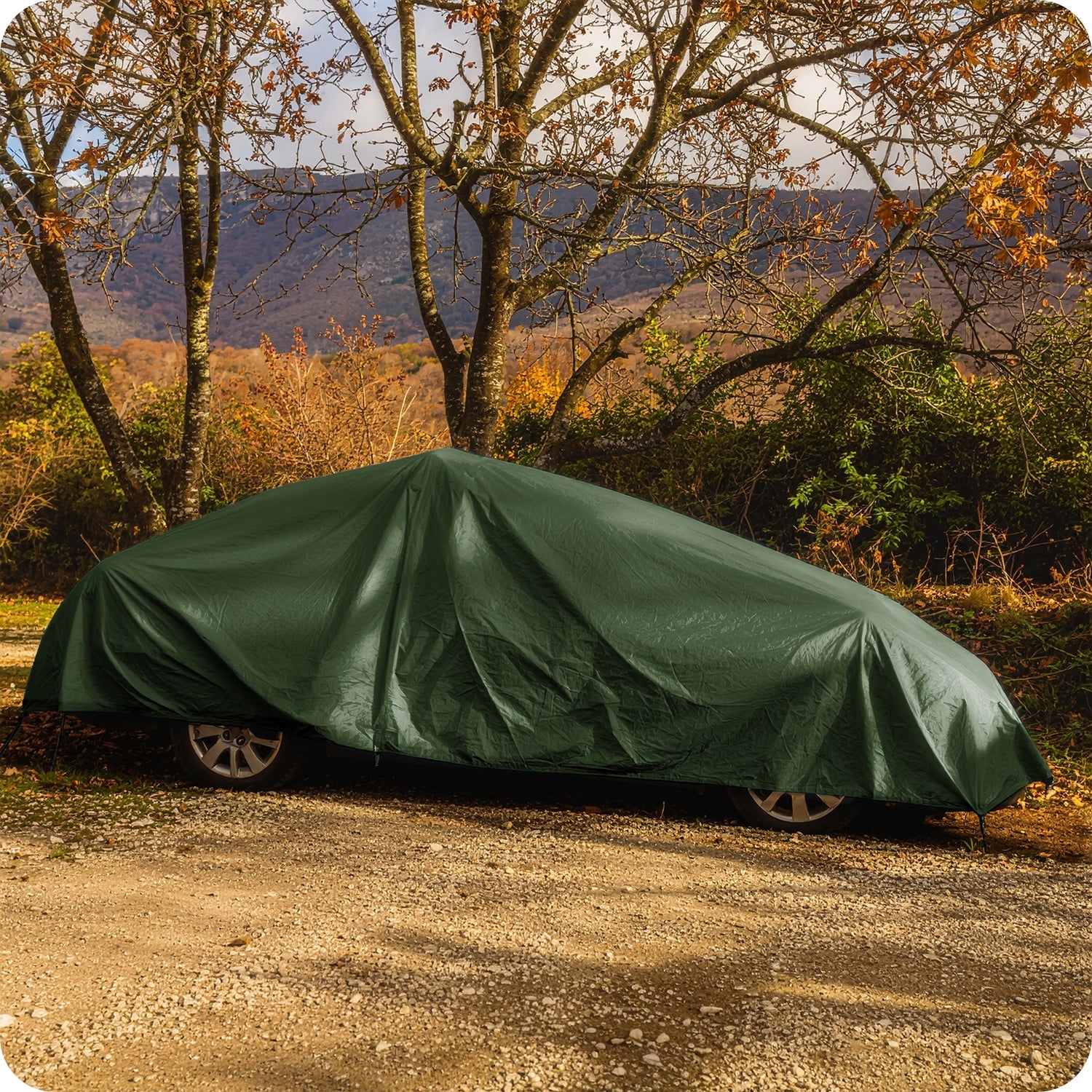 #Farbe_Grün (80 g/m²)