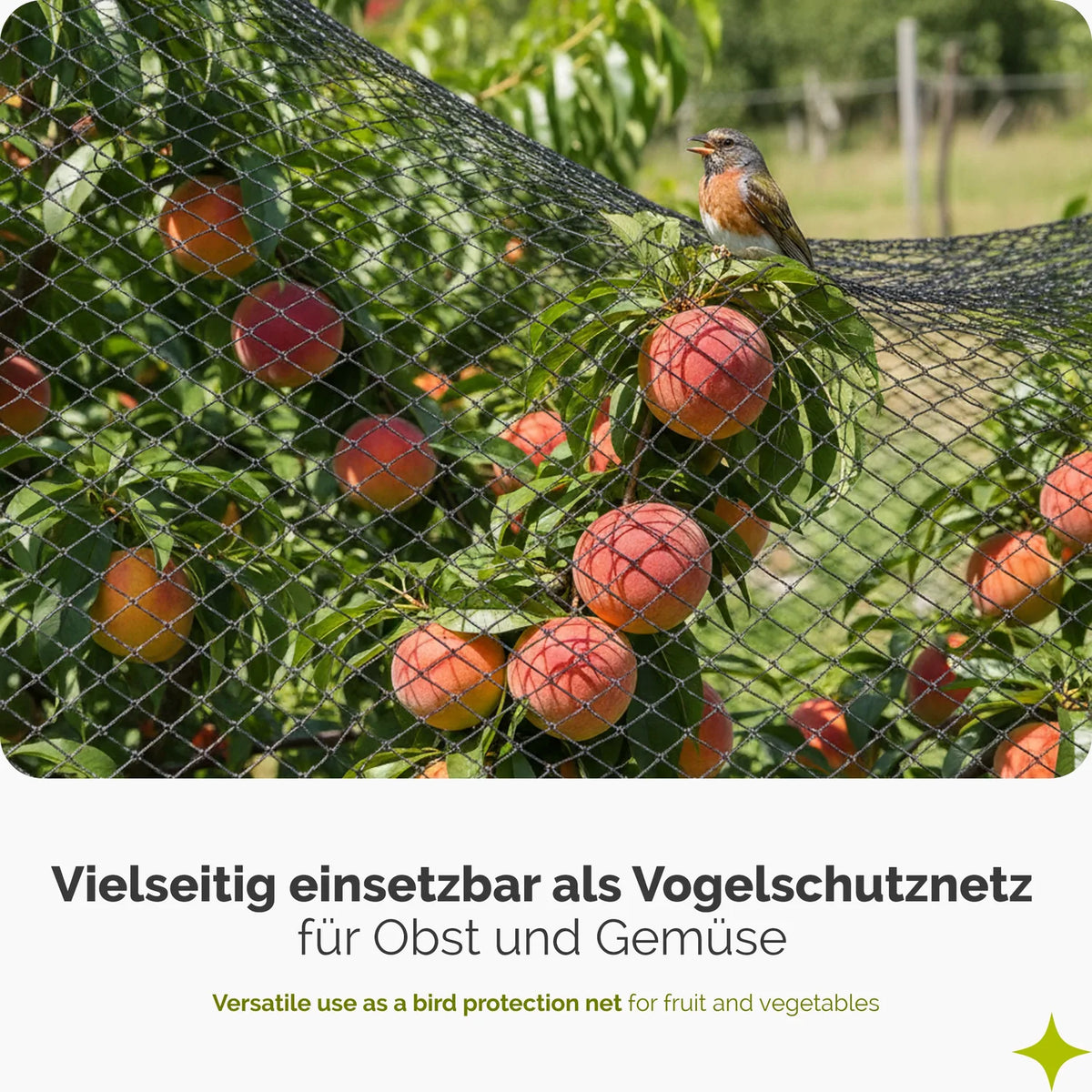 Vogelschutznetz 13 x 13 mm für Garten, Beete & Balkon GD-0195