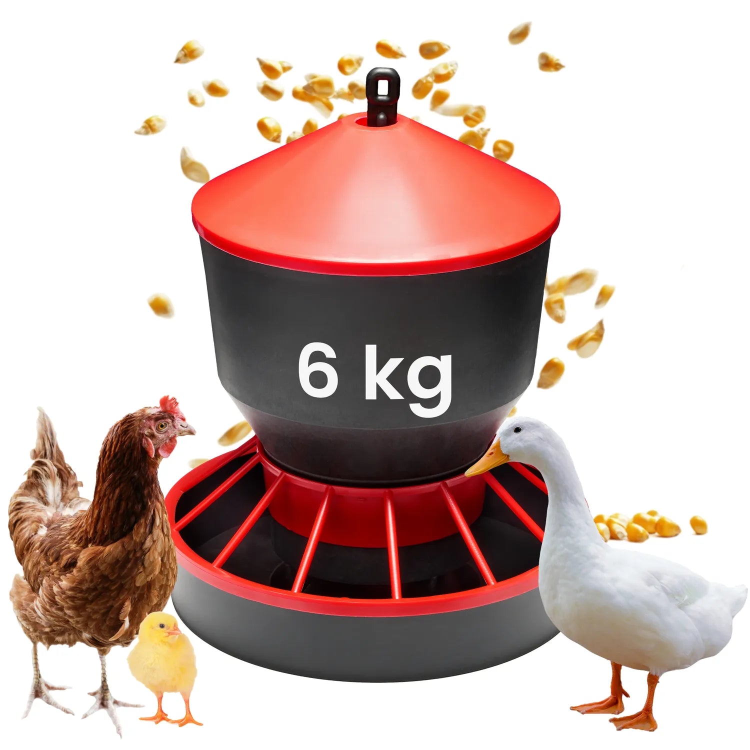 #Farbe_Rot/Schwarz#Größe_6 KG