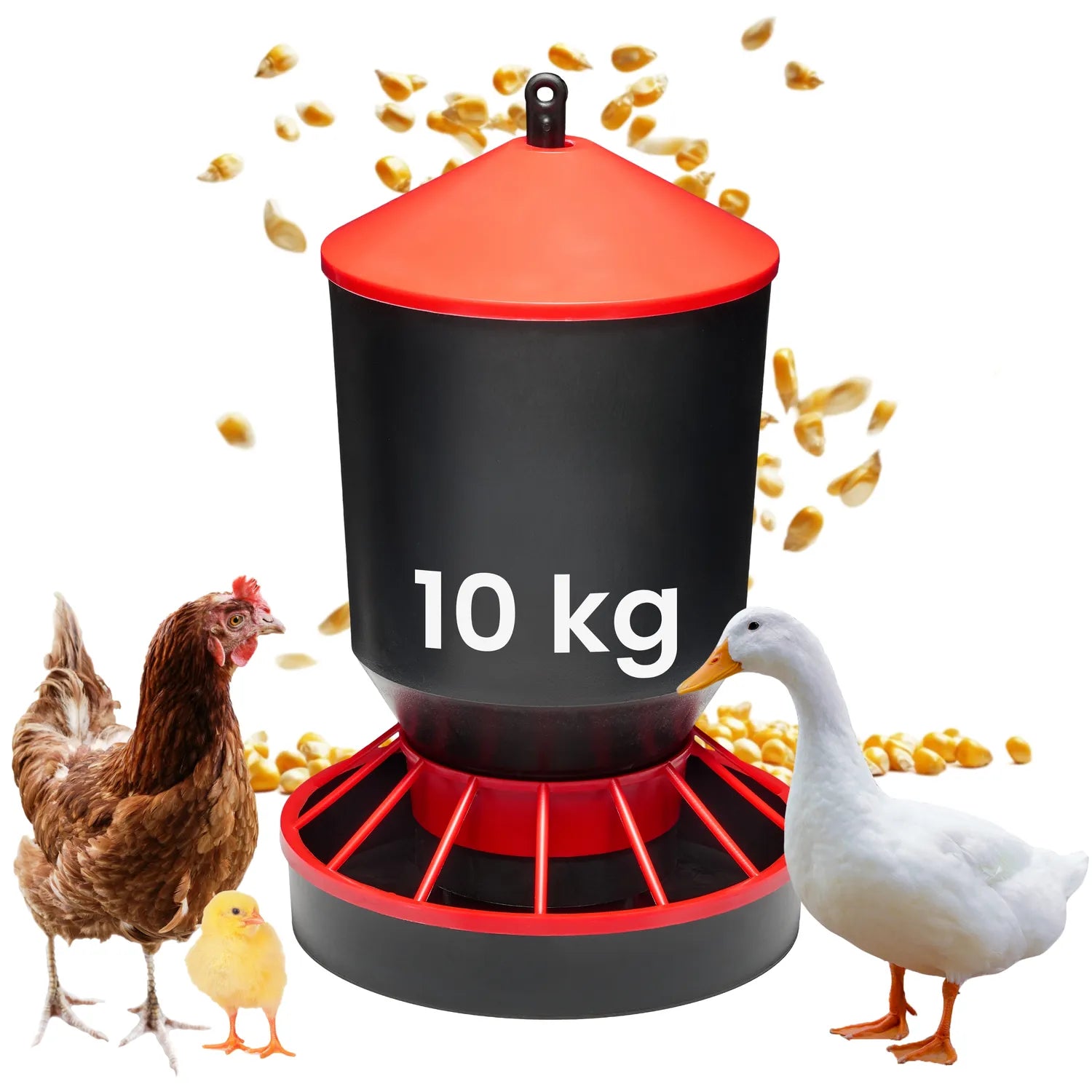 #Farbe_Rot/Schwarz#Größe_10 KG