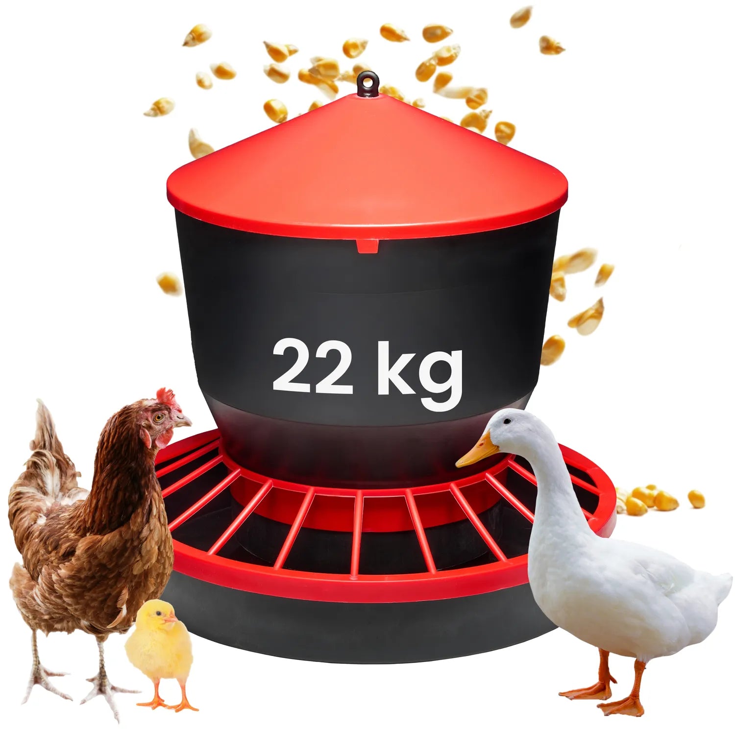 #Farbe_Rot/Schwarz#Größe_22 KG