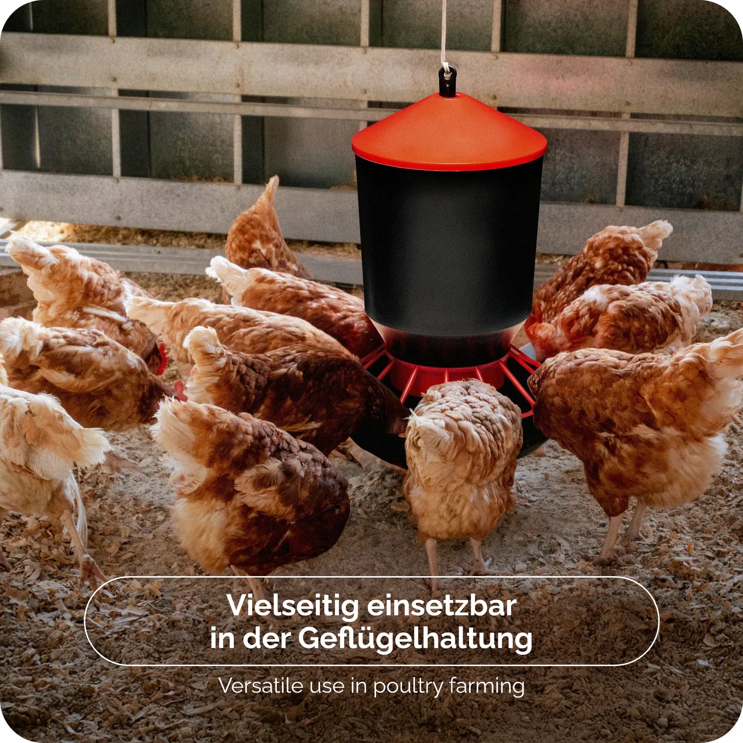 Futterautomat für Hühner leicht zu reinigen 3 - 22 KG GD-0151