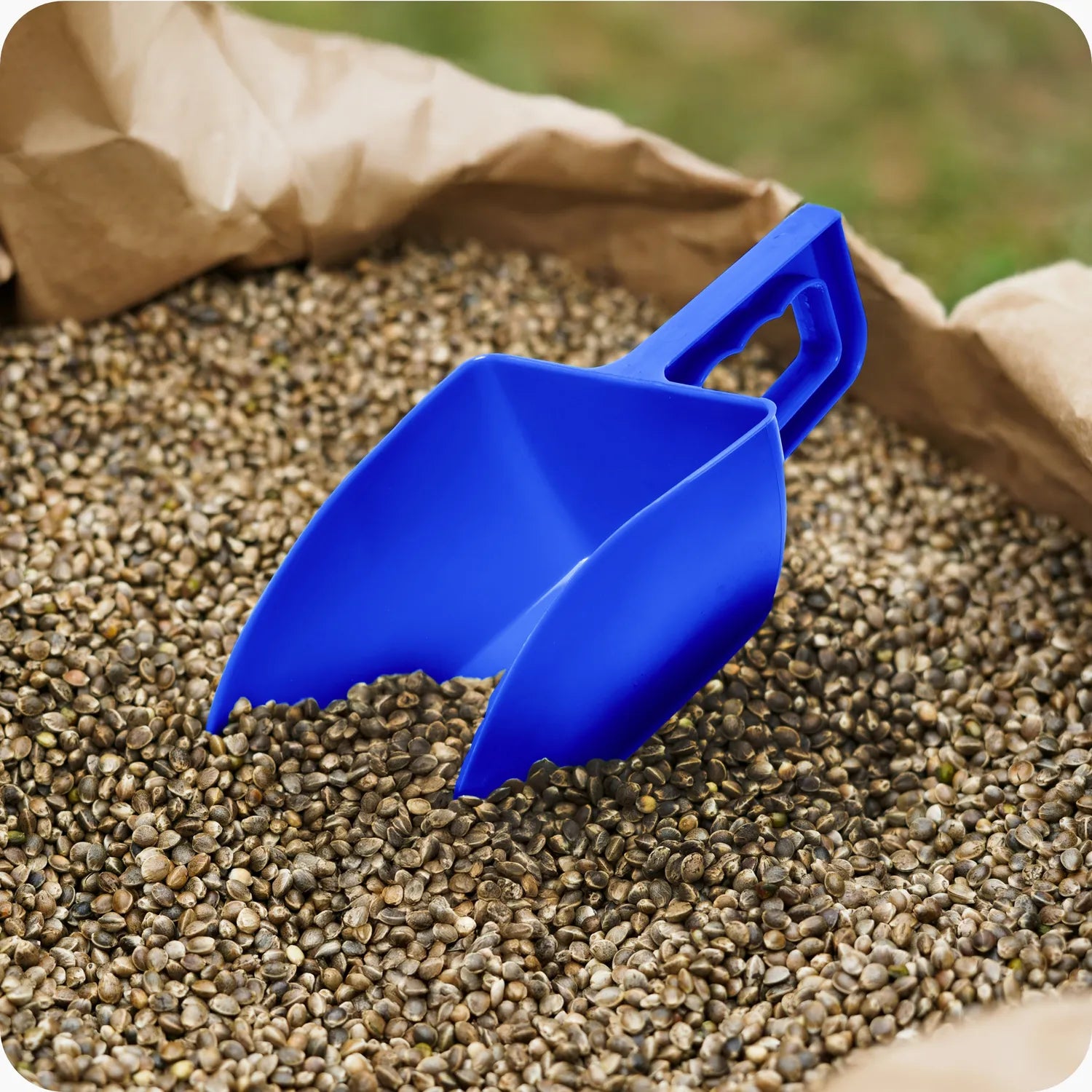 #Farbe_Blau#Größe_1000 g