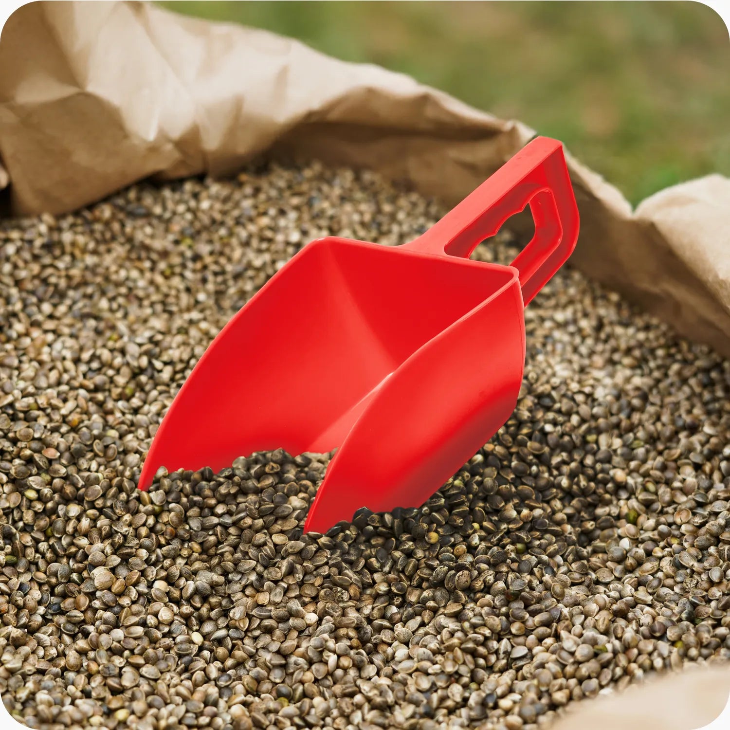 #Farbe_Rot#Größe_1000 g