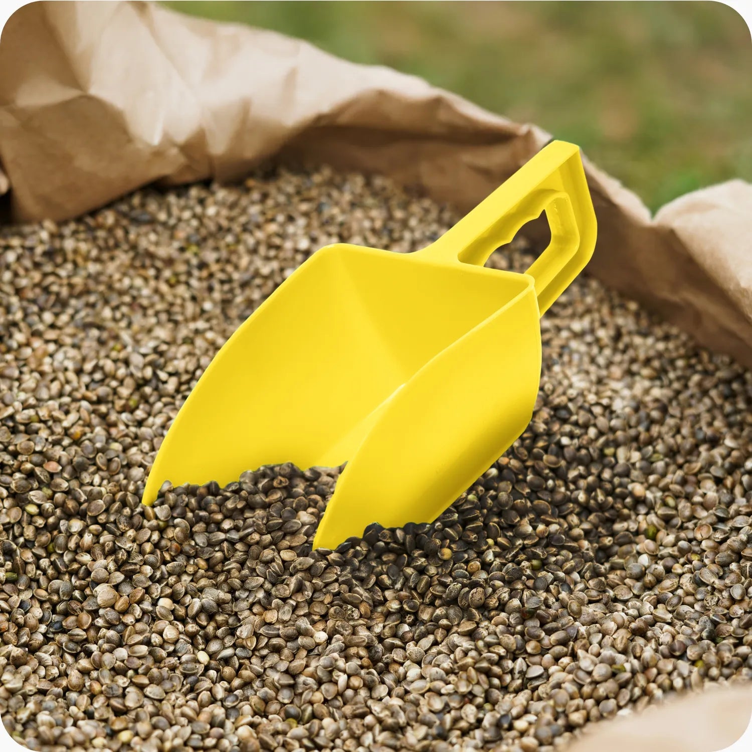 #Farbe_Gelb#Größe_1000 g