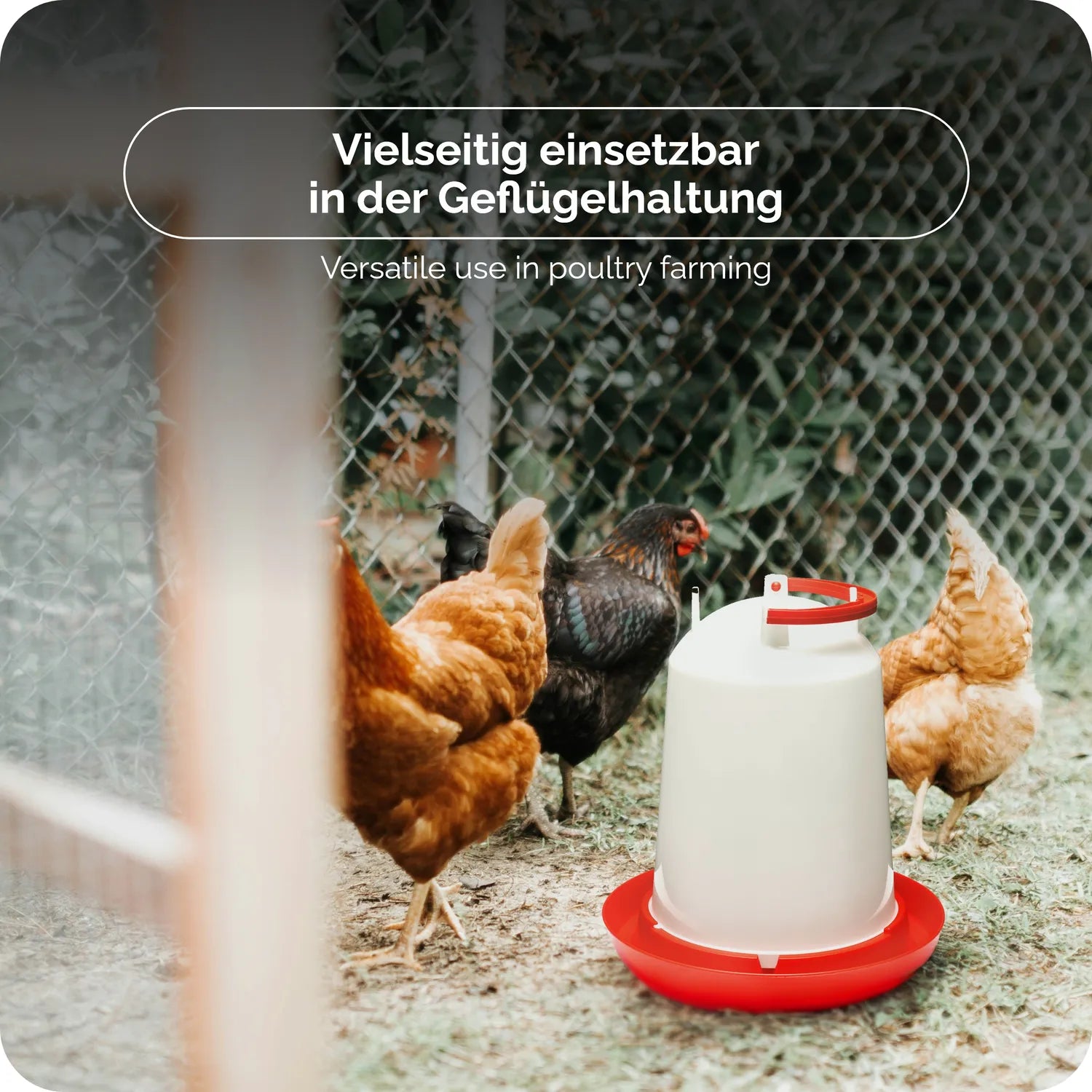 #!Farbe_Weiß/Weiß#!Größe_3 L + 3 KG