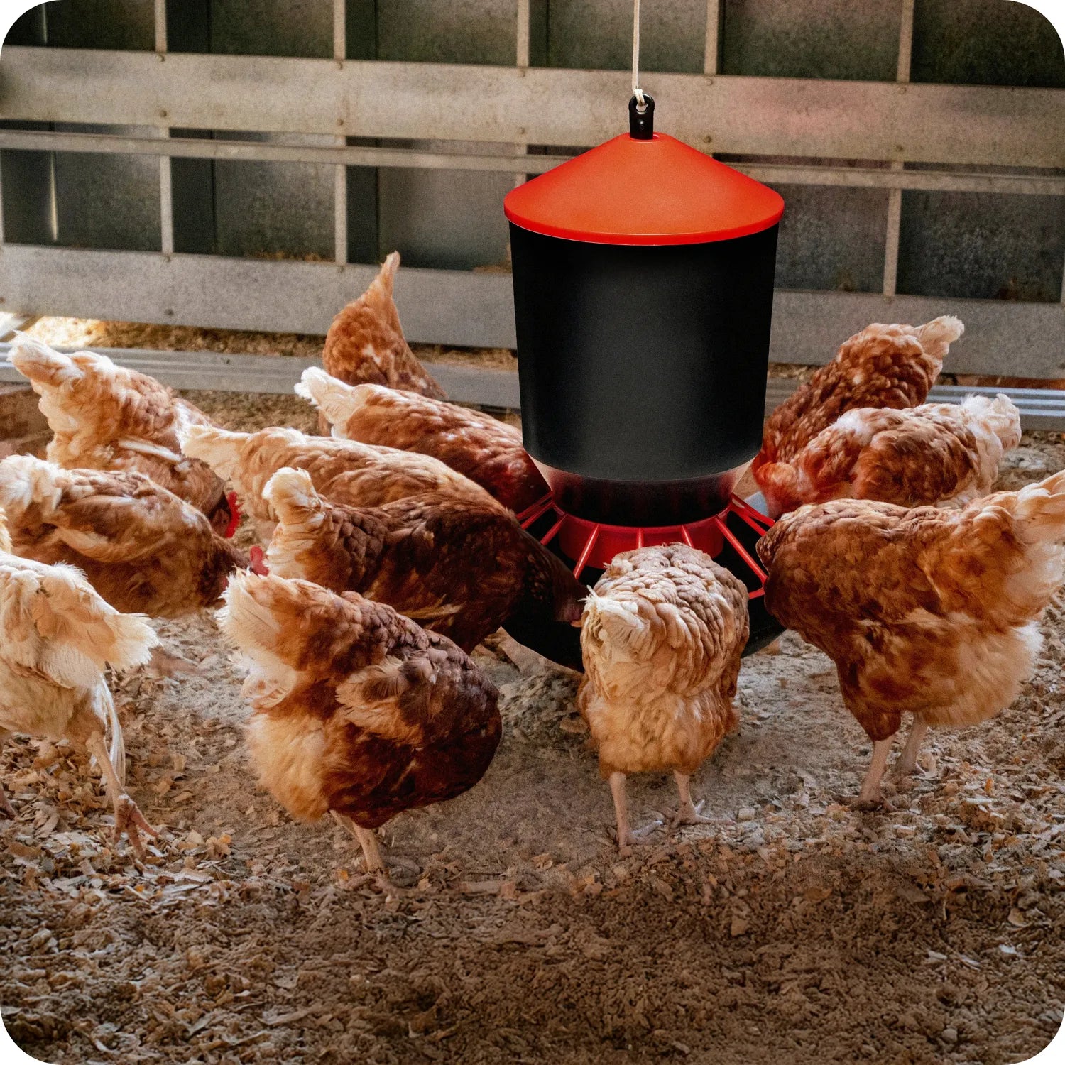 #!Farbe_Weiß/Weiß#!Größe_3 L + 3 KG