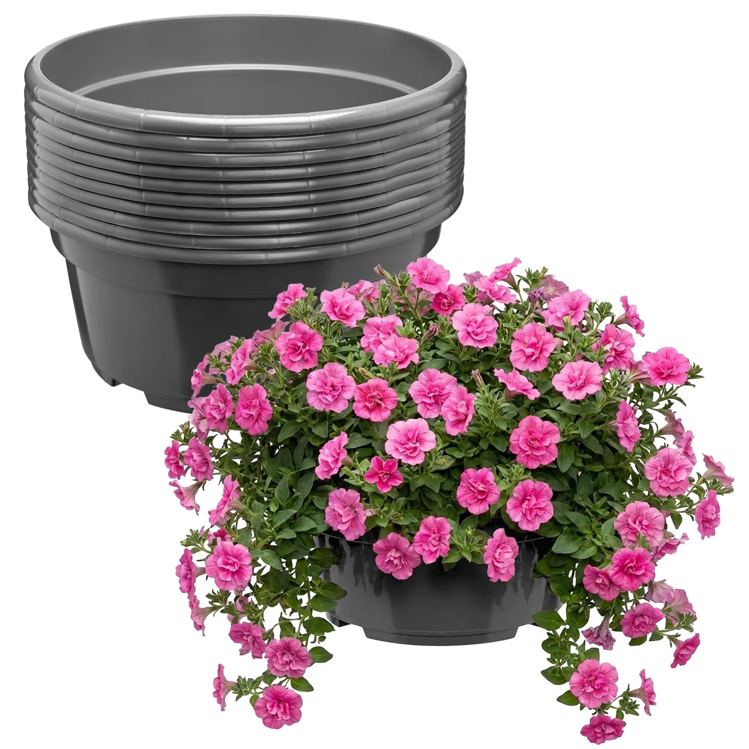 #Größe_Ø25 x 11,5 cm (4,7L)#Menge_10  Stück#Farbe_Anthrazit