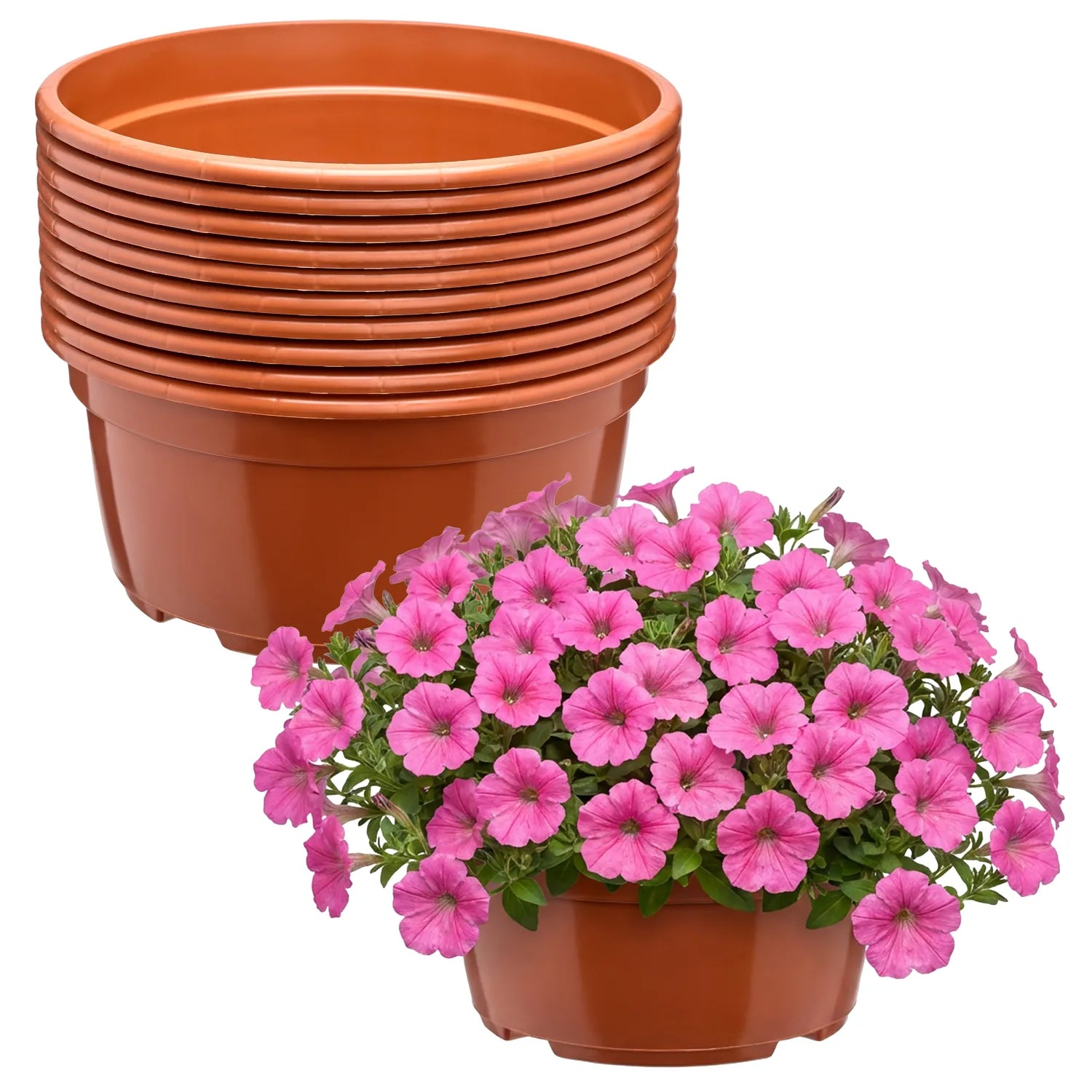 #Größe_Ø 19 x 9,5 cm (2,2L)#Menge_10  Stück#Farbe_Terrakotta