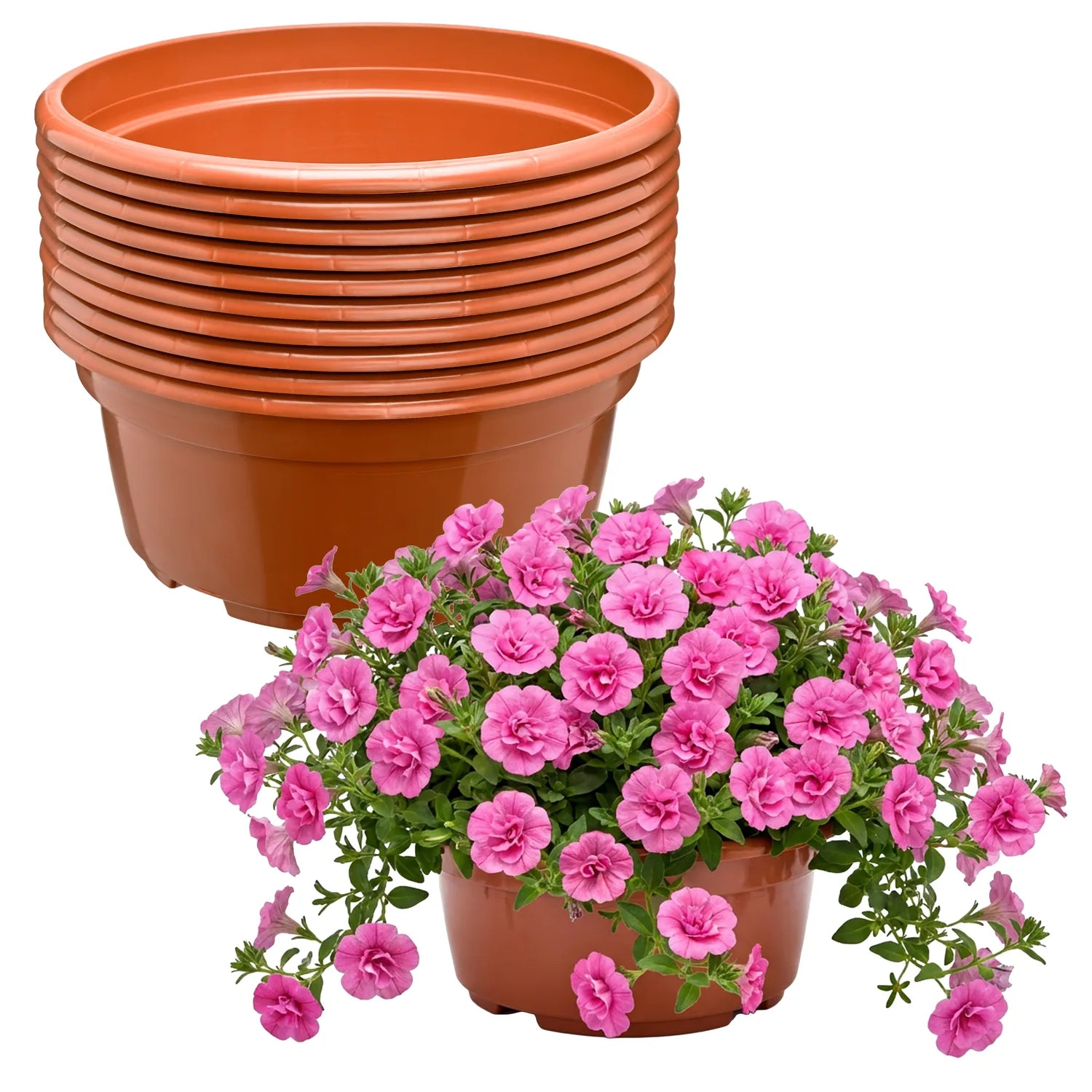 #Größe_Ø23 x 11 cm (3,5L)#Menge_10  Stück#Farbe_Terrakotta