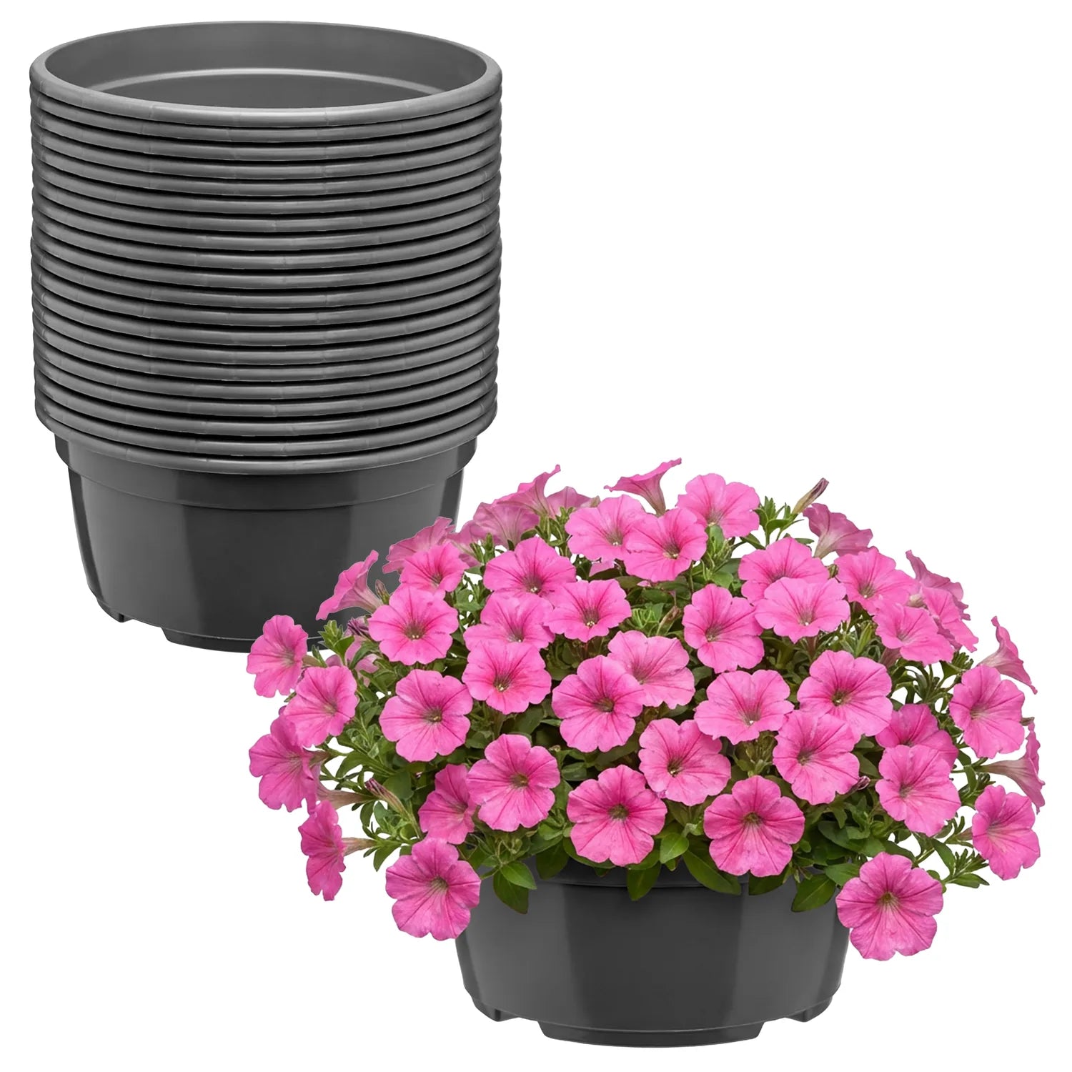 #Größe_Ø 19 x 9,5 cm (2,2L)#Menge_20  Stück#Farbe_Anthrazit