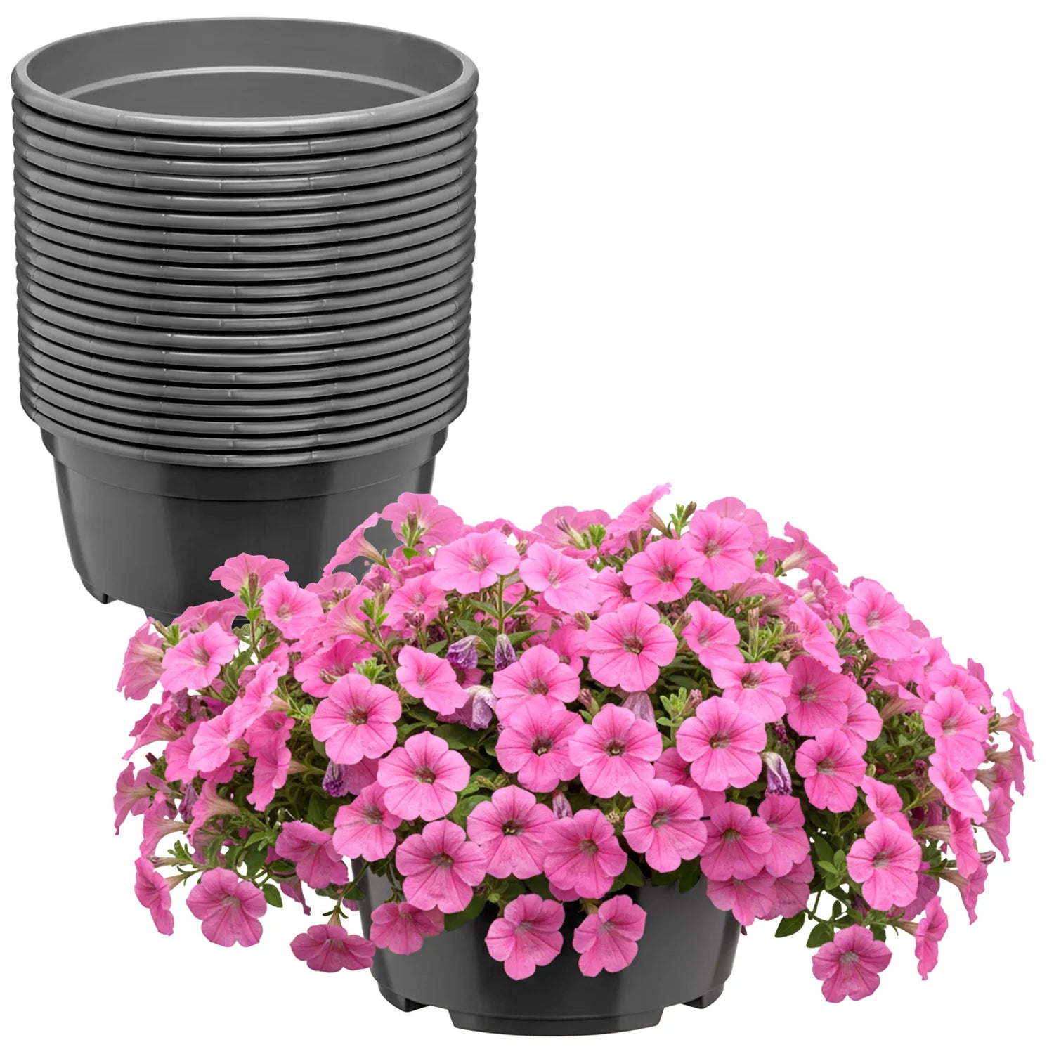 #Größe_Ø21 x 10,5 cm (3L)#Menge_20  Stück#Farbe_Anthrazit