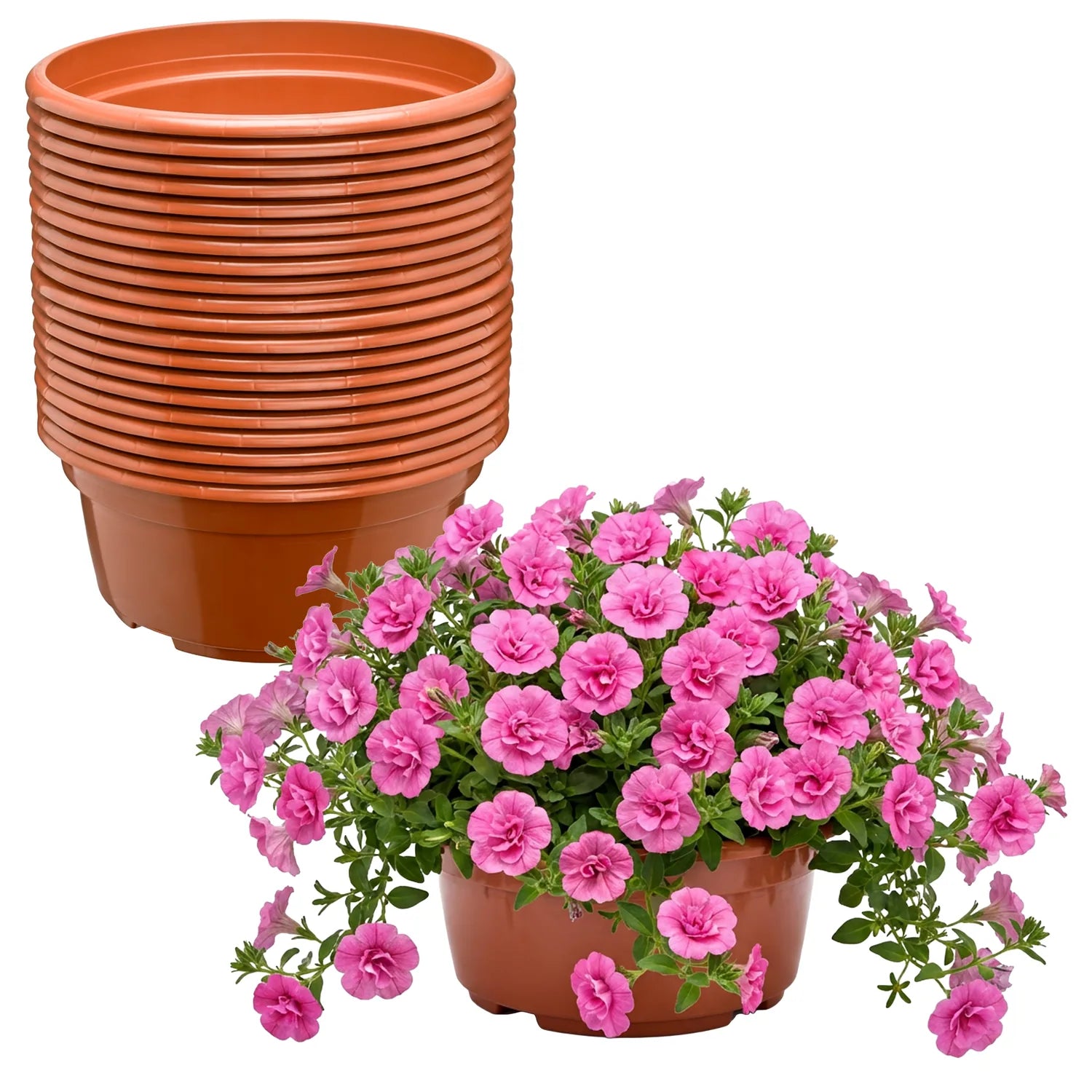 #Größe_Ø23 x 11 cm (3,5L)#Menge_20  Stück#Farbe_Terrakotta