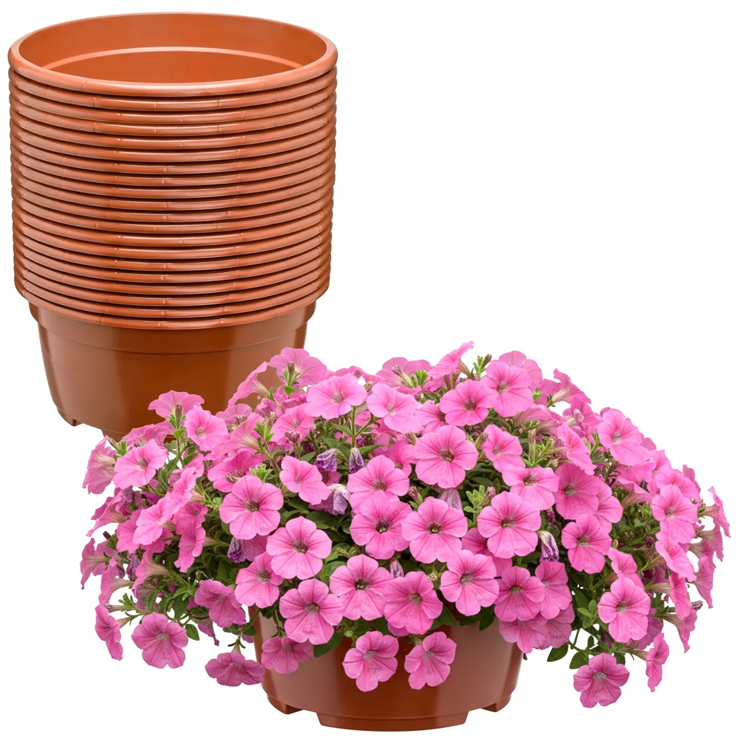 #Größe_Ø21 x 10,5 cm (3L)#Menge_20  Stück#Farbe_Terrakotta