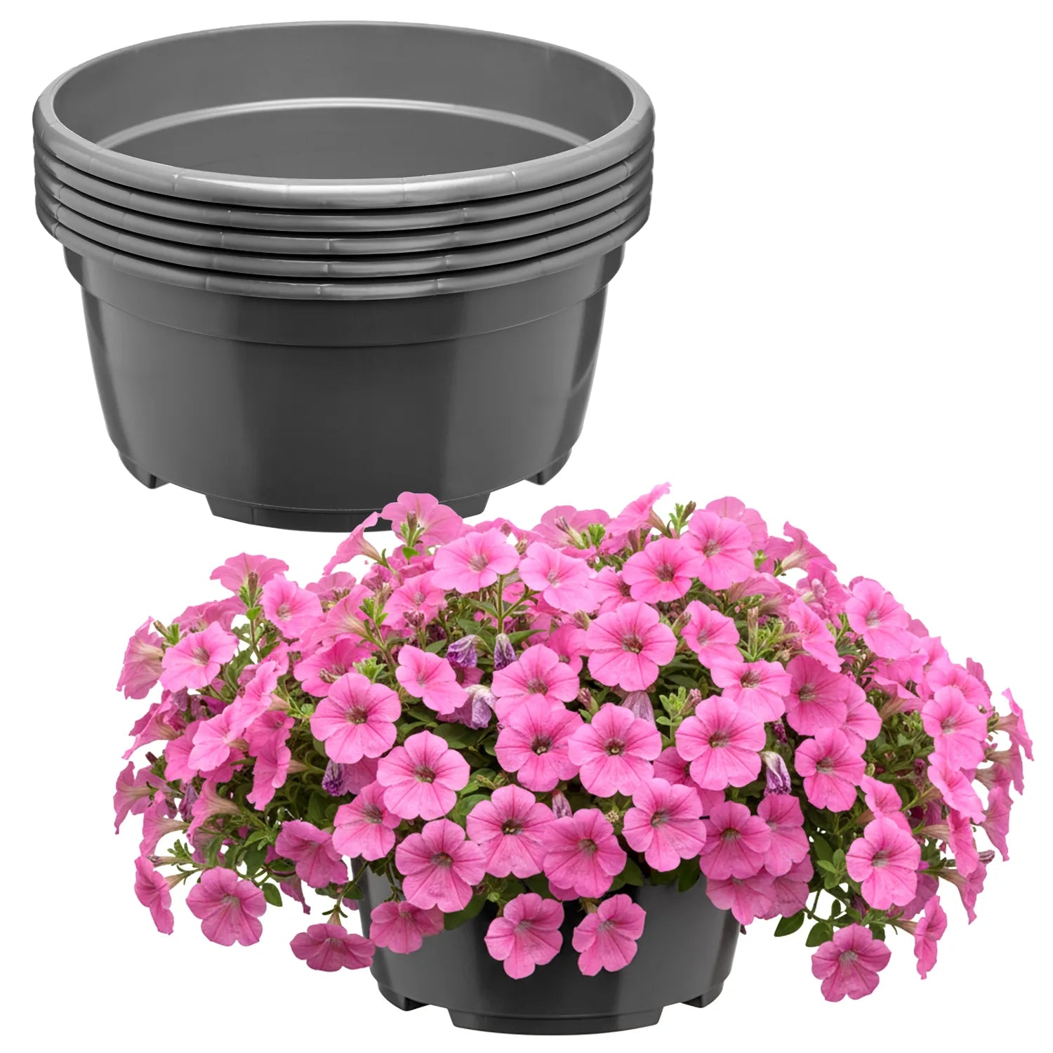 #Größe_Ø21 x 10,5 cm (3L)#Menge_5  Stück#Farbe_Anthrazit