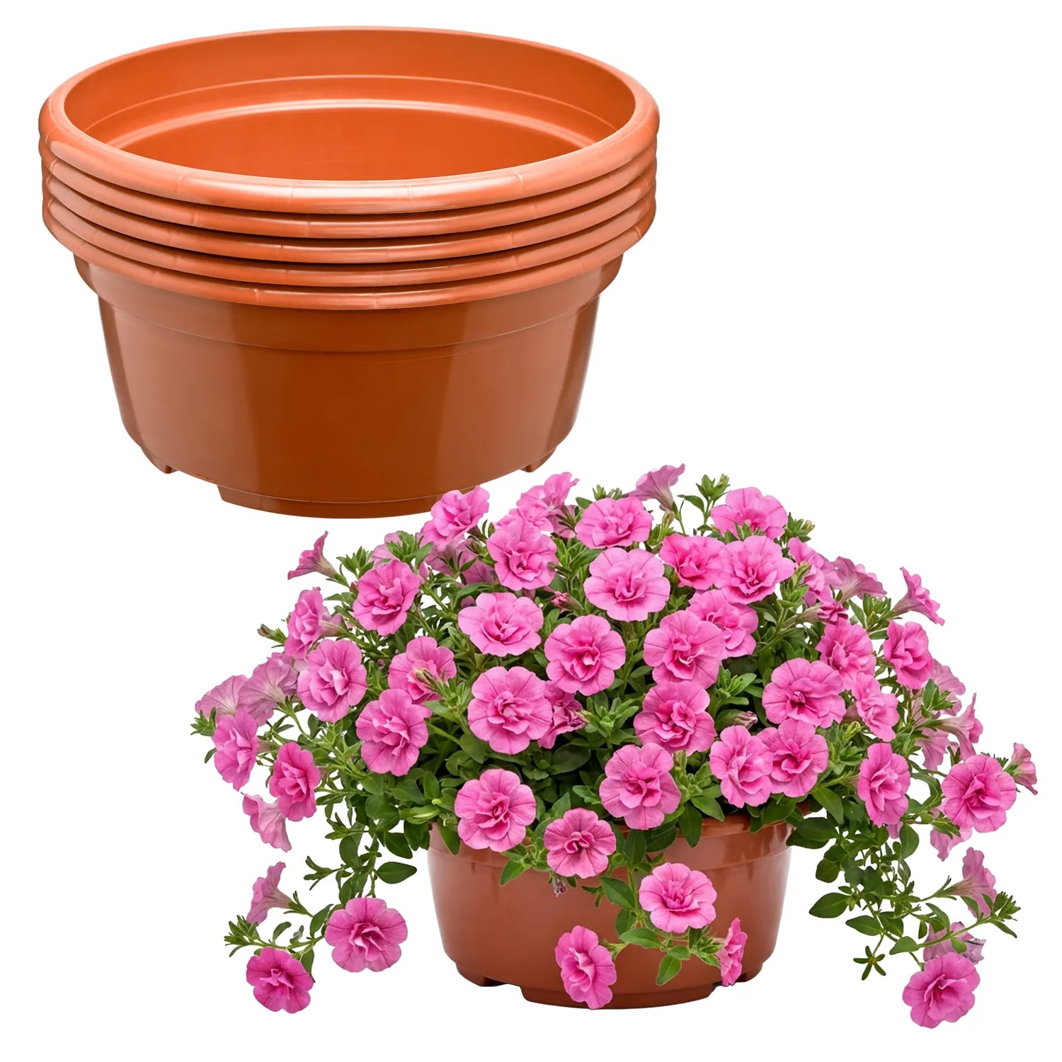 #Größe_Ø23 x 11 cm (3,5L)#Menge_5  Stück#Farbe_Terrakotta