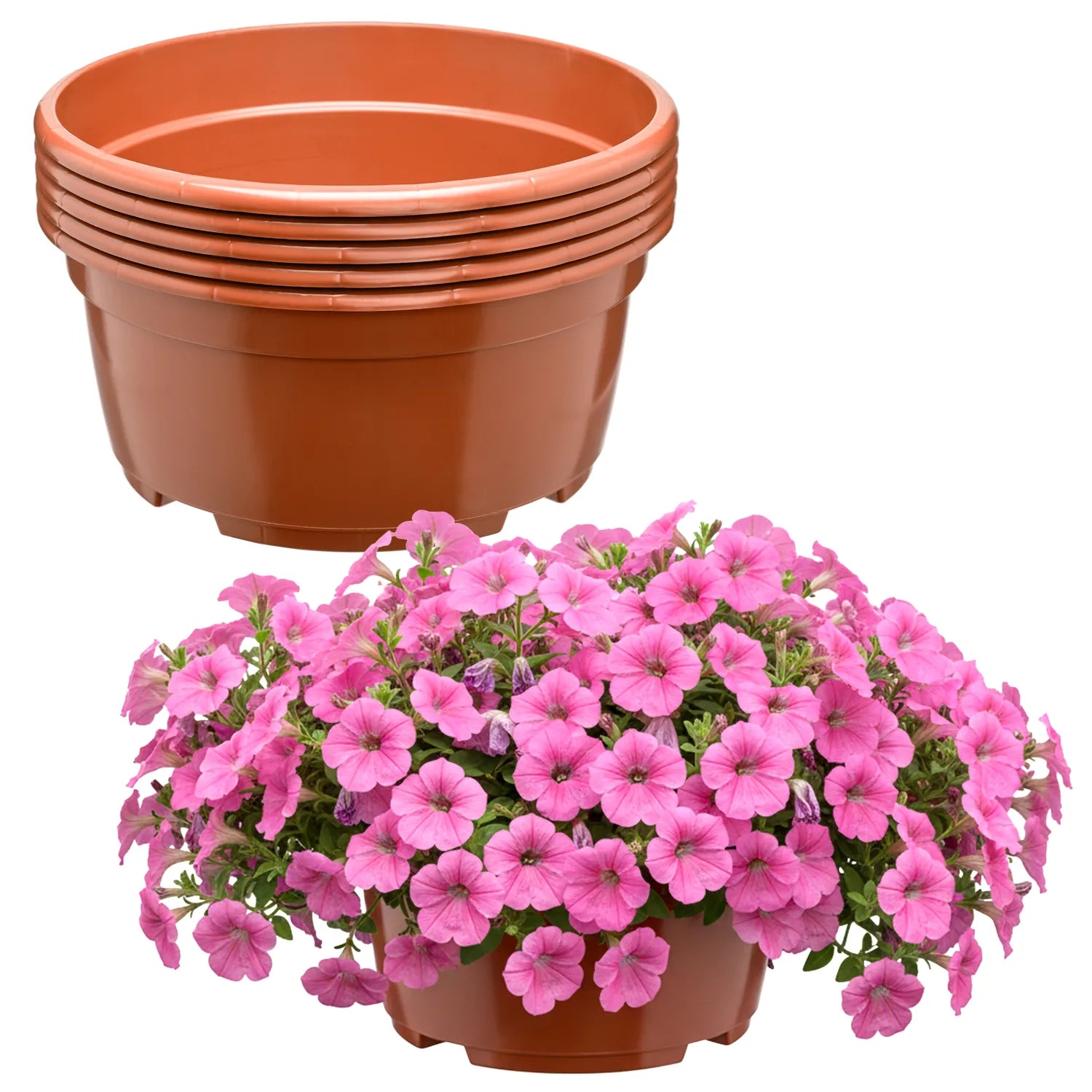#Größe_Ø21 x 10,5 cm (3L)#Menge_5  Stück#Farbe_Terrakotta