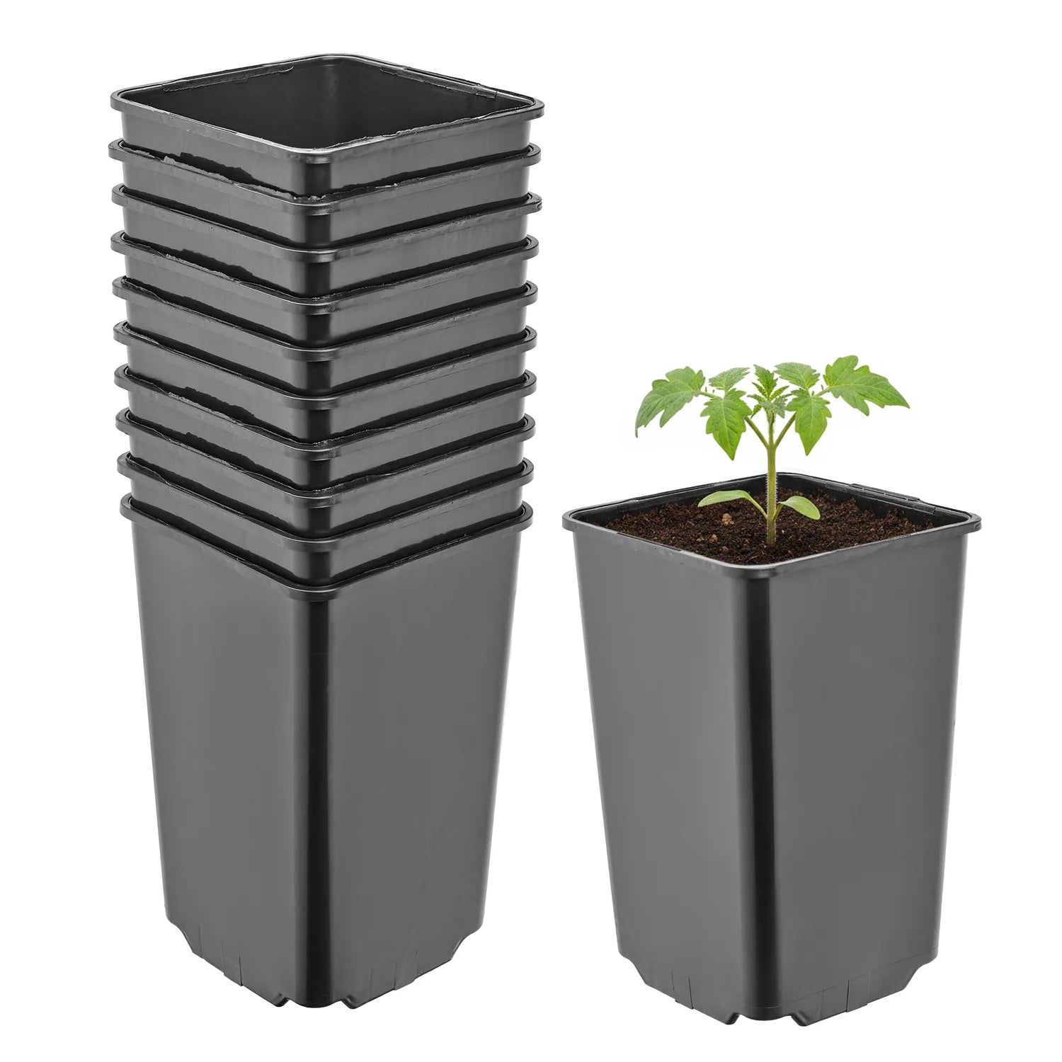 #Größe_9 x 9 x 14 cm (0,8L)#Menge_10  Stück