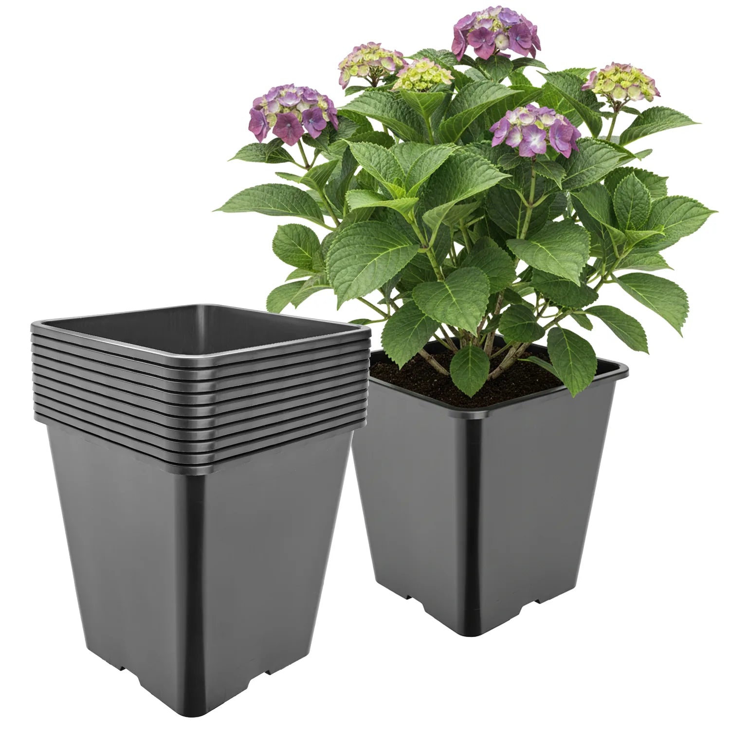 #Größe_25 x 25 x 26 cm (11L)#Menge_10  Stück