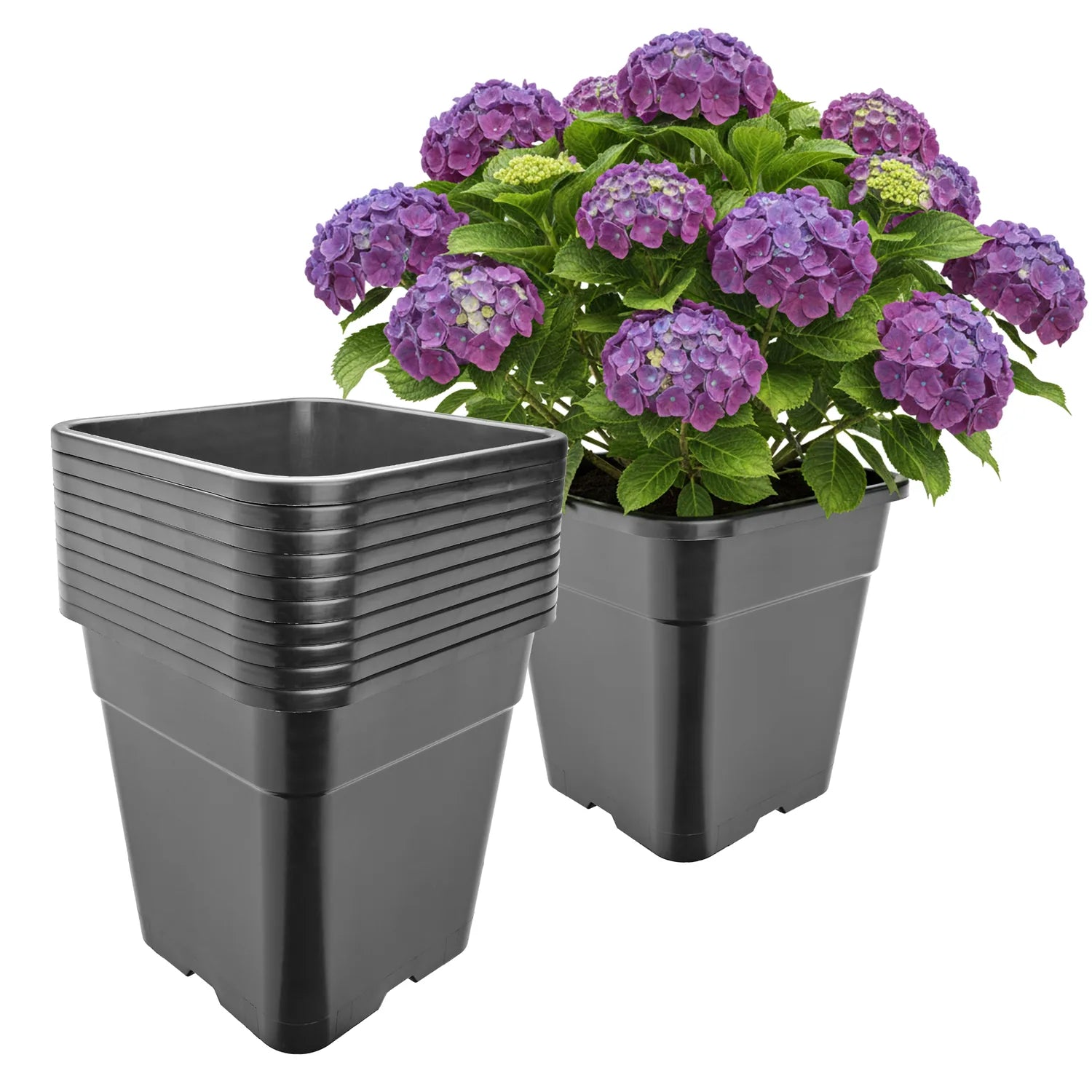 #Größe_30,5 x 30,5 x 31 cm (18L)#Menge_10  Stück