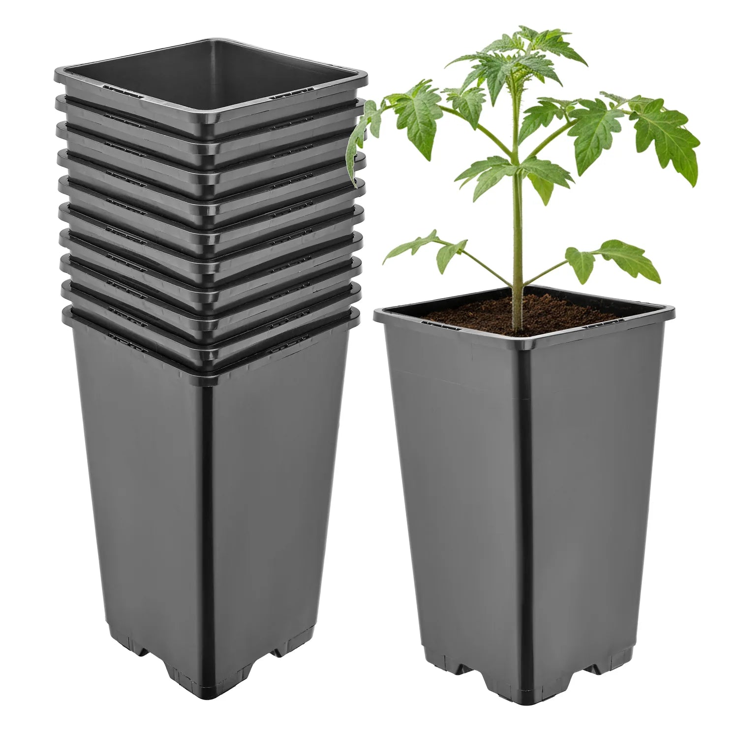 #Größe_11 x 11 x 19 cm (1,7L)#Menge_10  Stück