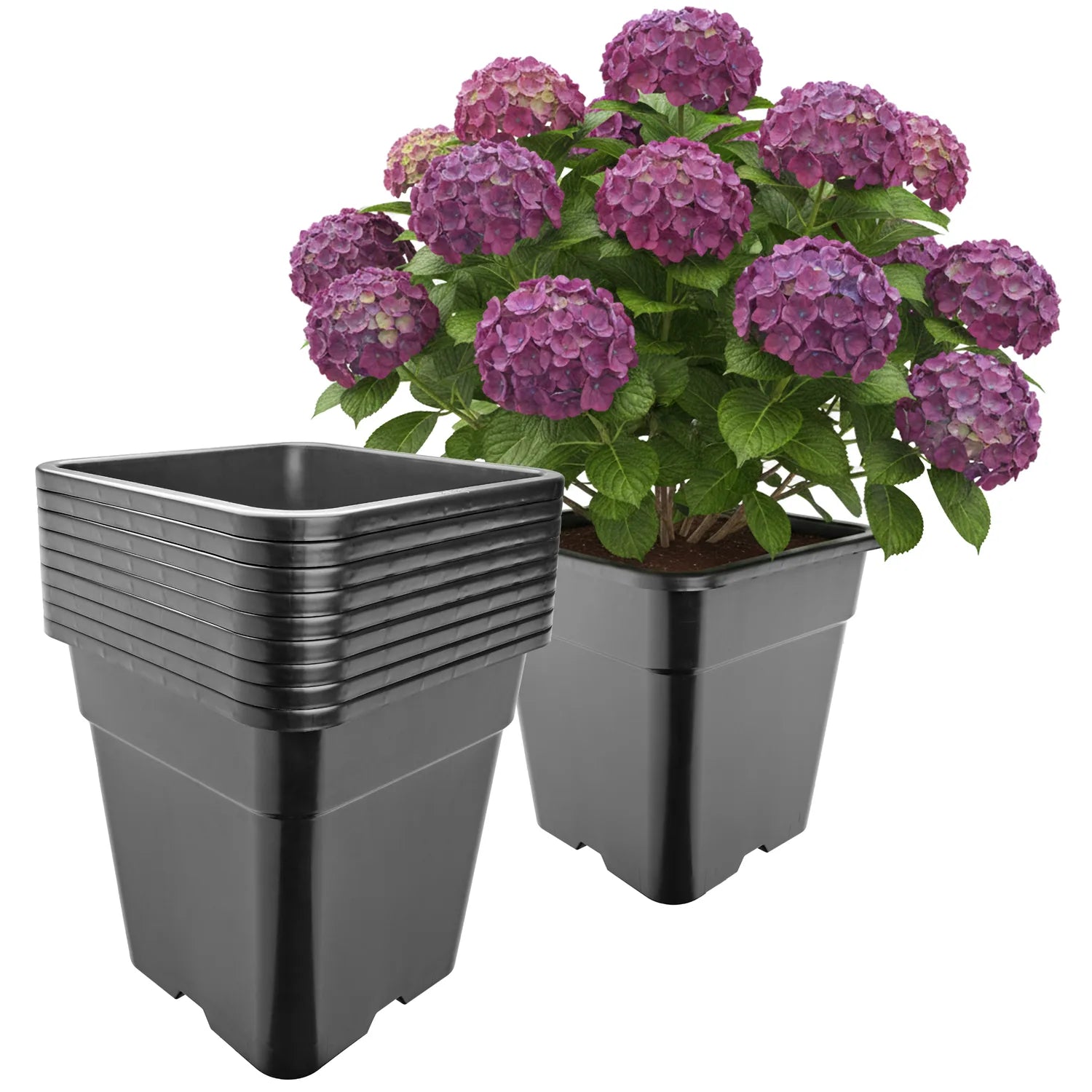 #Größe_33 x 33 x 34 cm (25L)#Menge_10  Stück