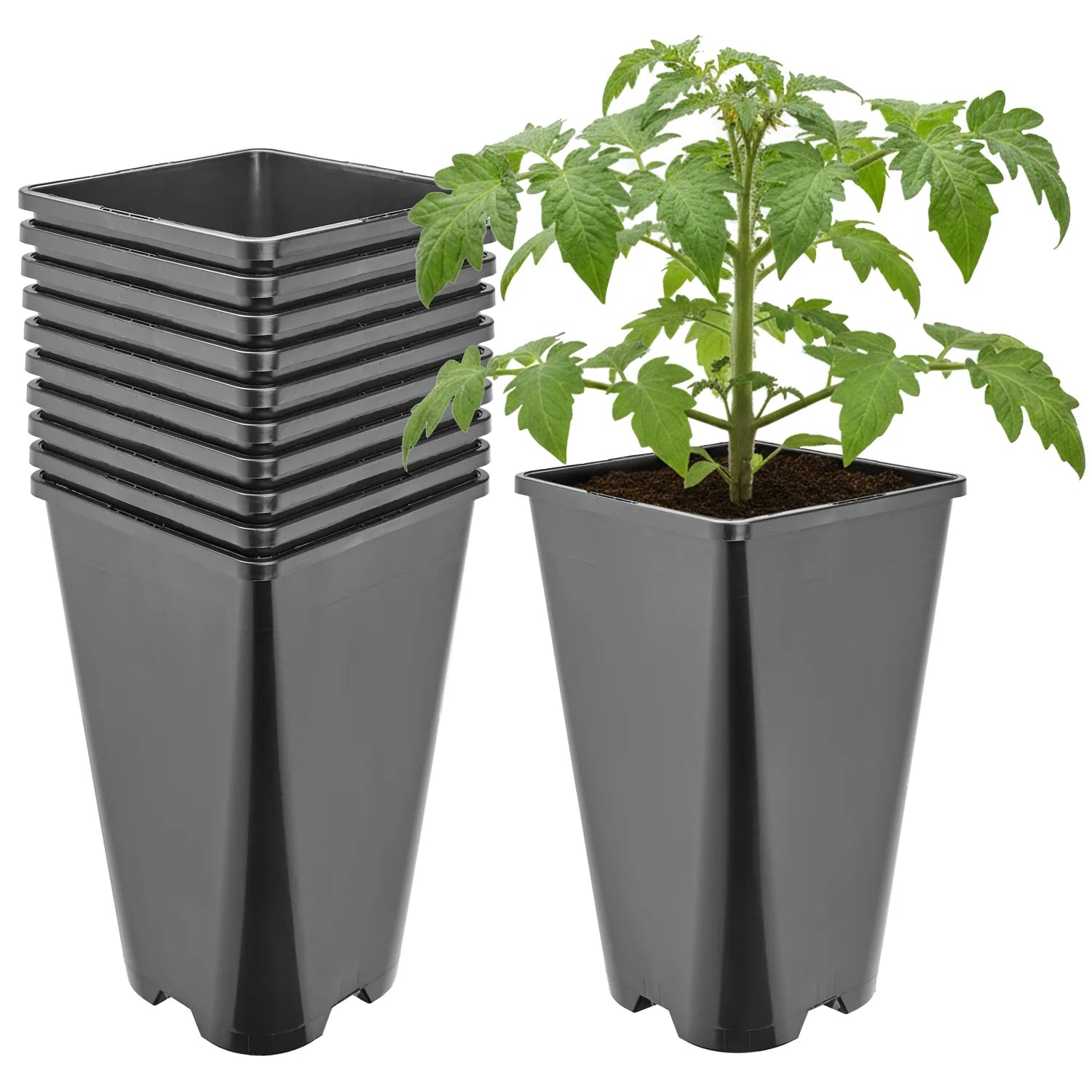 #Größe_13,5 x 13,5 x 23 cm (3L)#Menge_10  Stück