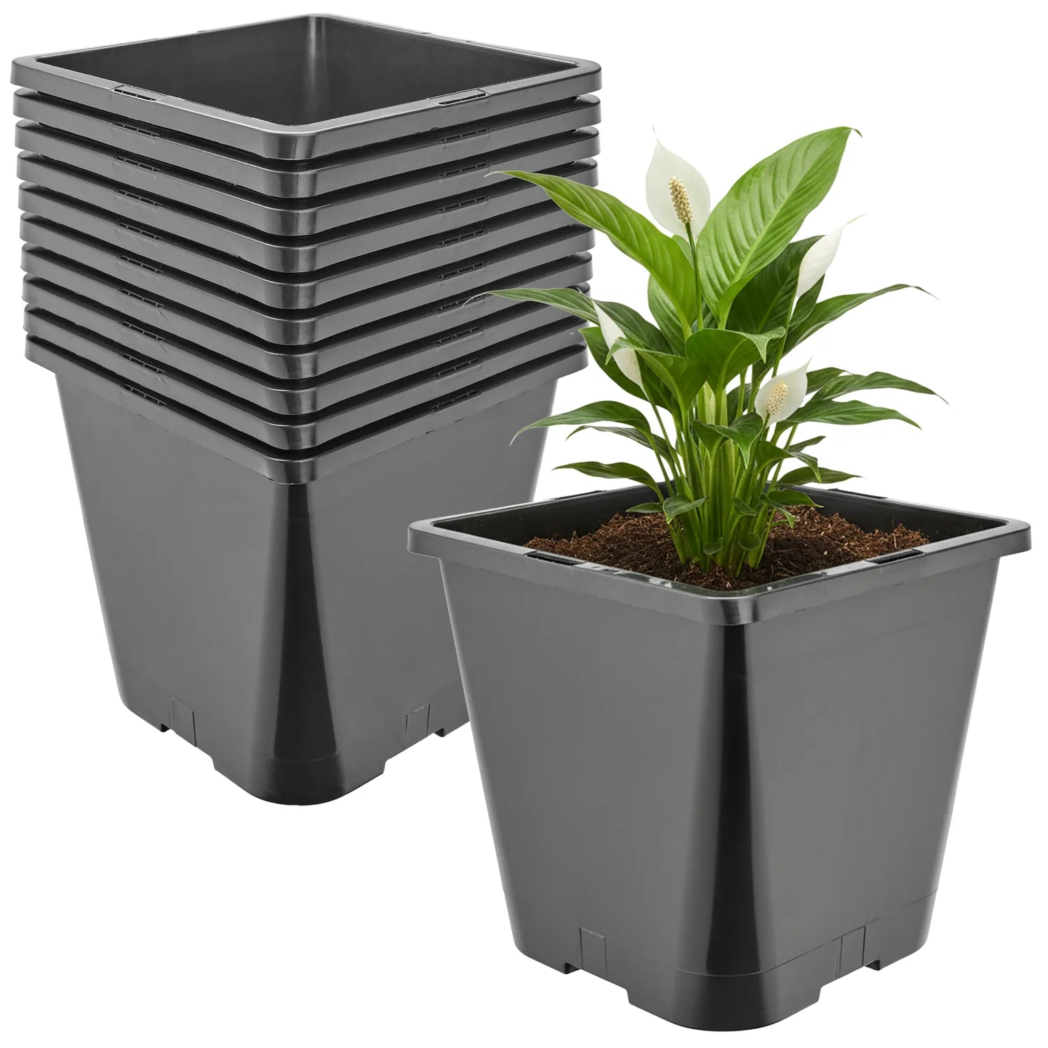#Größe_20 x 20 x 23 cm (5,6L)#Menge_10  Stück