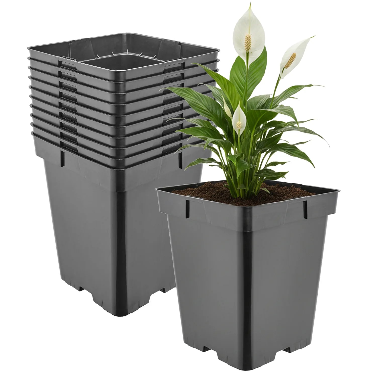 #Größe_18 x 18 x 21,5 cm (5L)#Menge_10  Stück